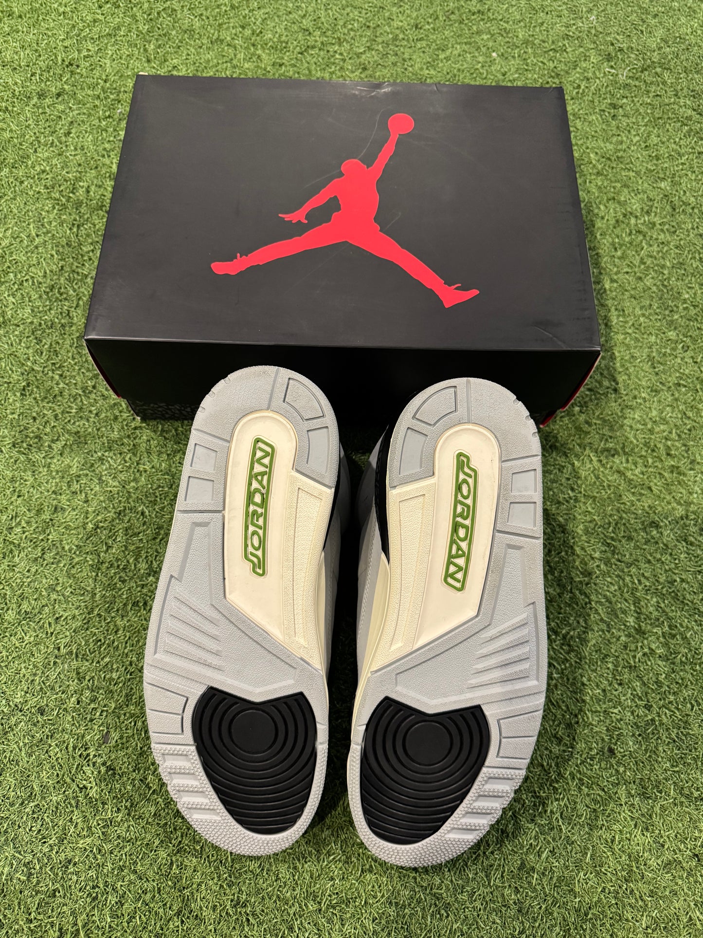 Jordan 3 Chlorophyll (12)