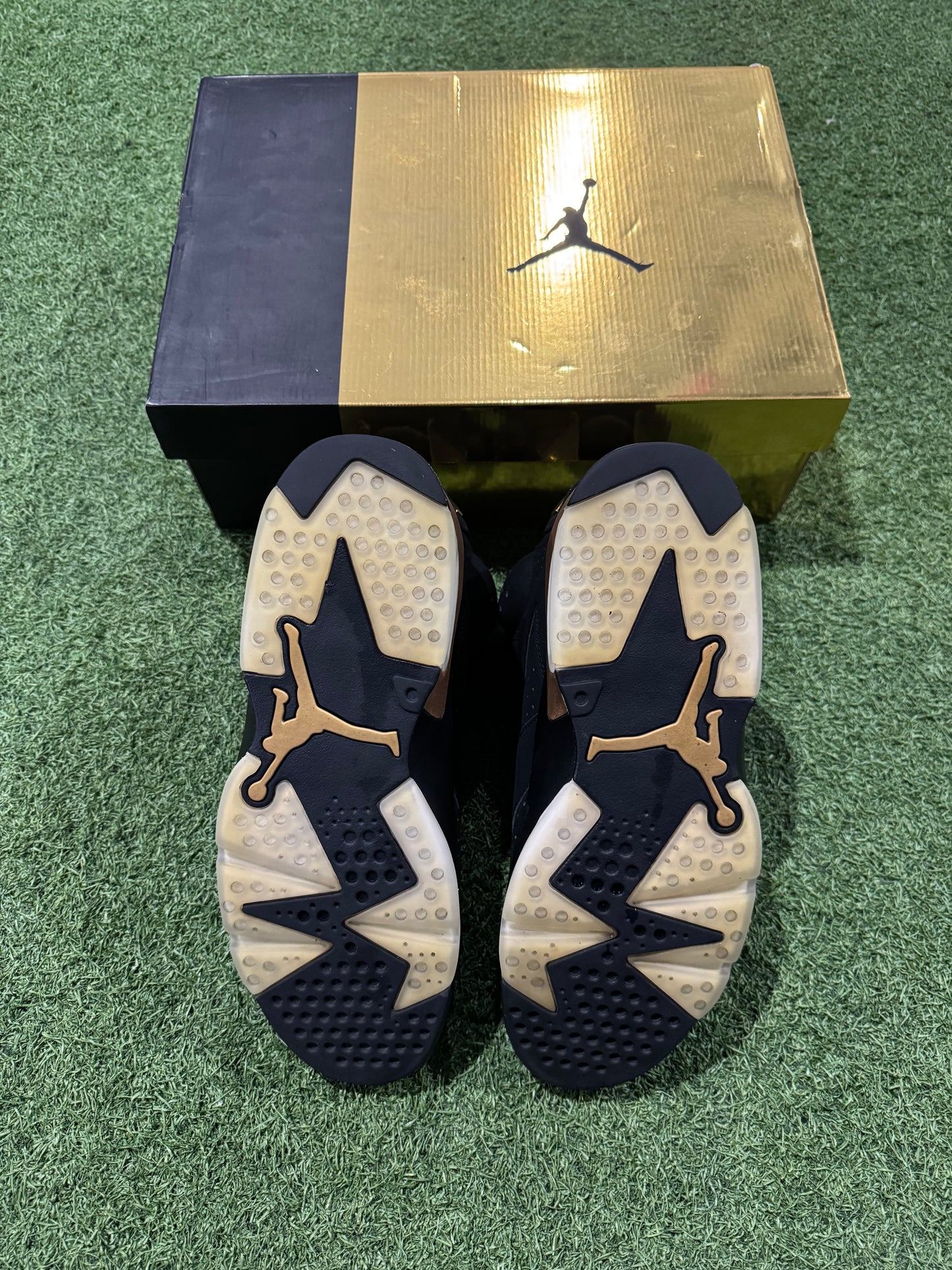 Jordan 6 DMP (11.5)