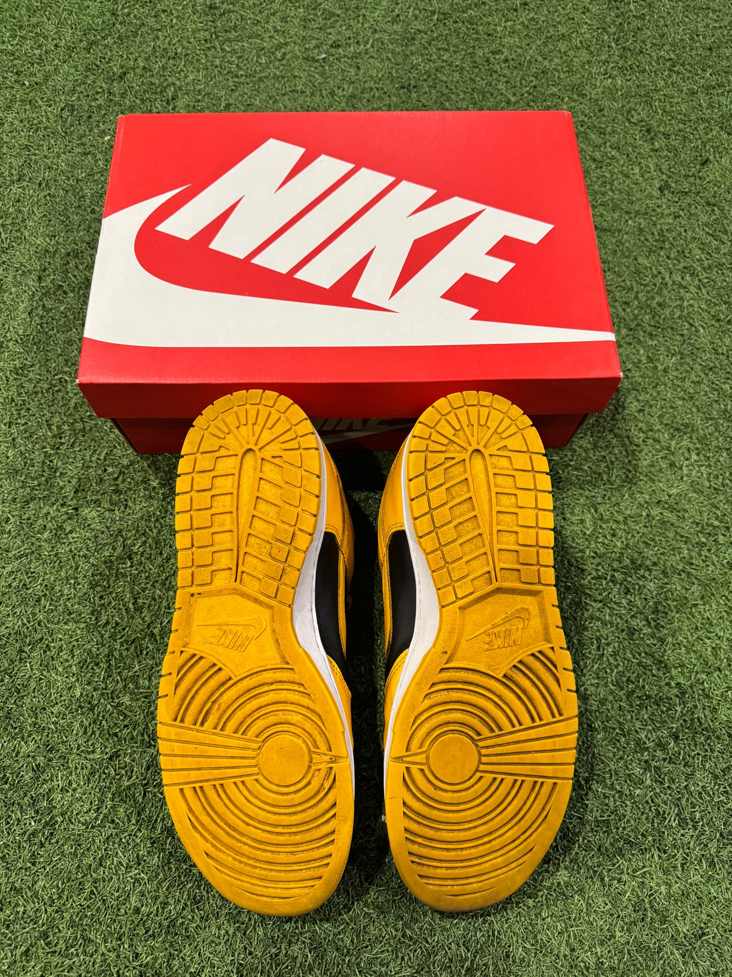 Dunk Low Goldenrod (11.5)