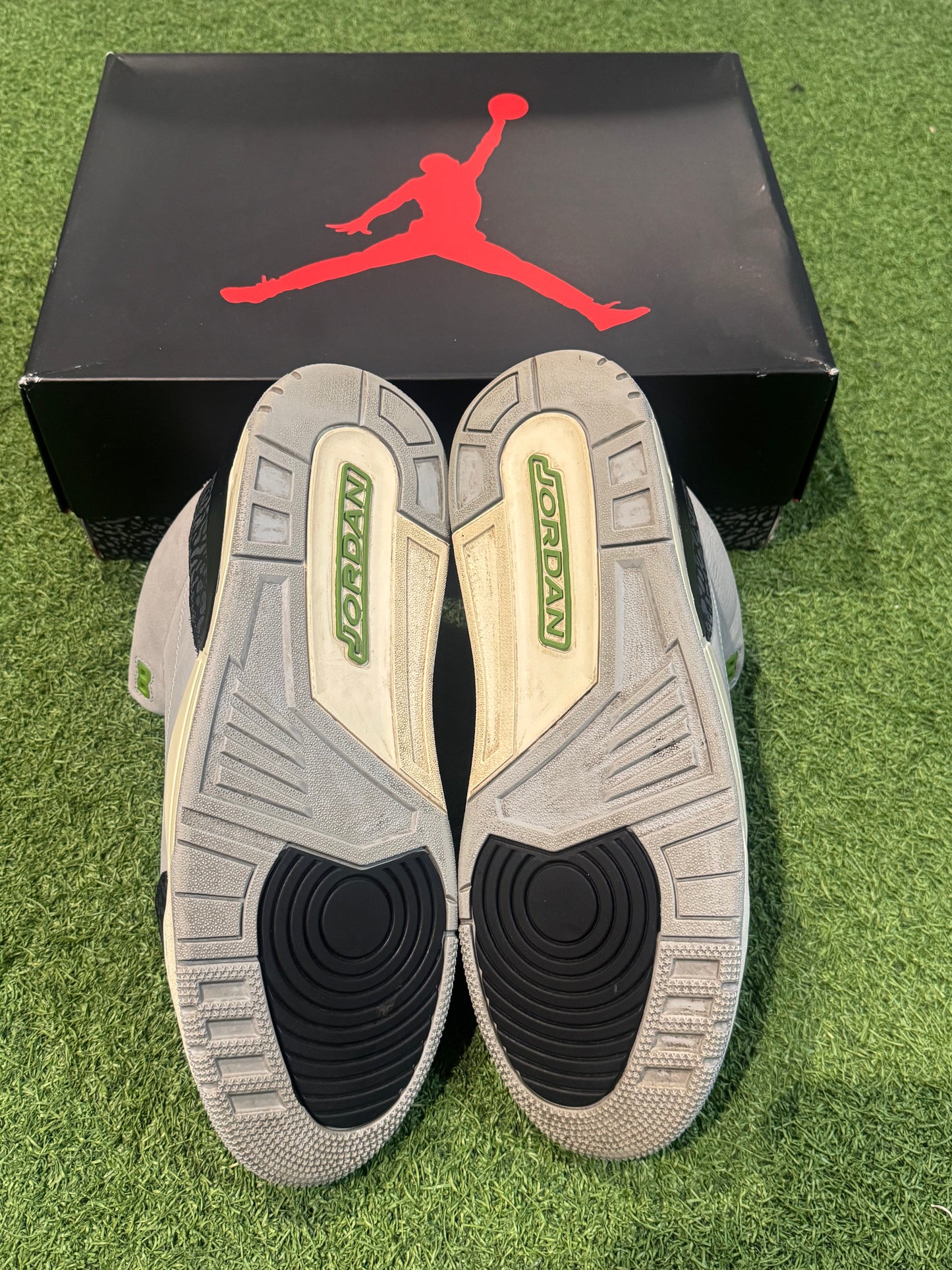 Jordan 3 Chlorophyll (13)