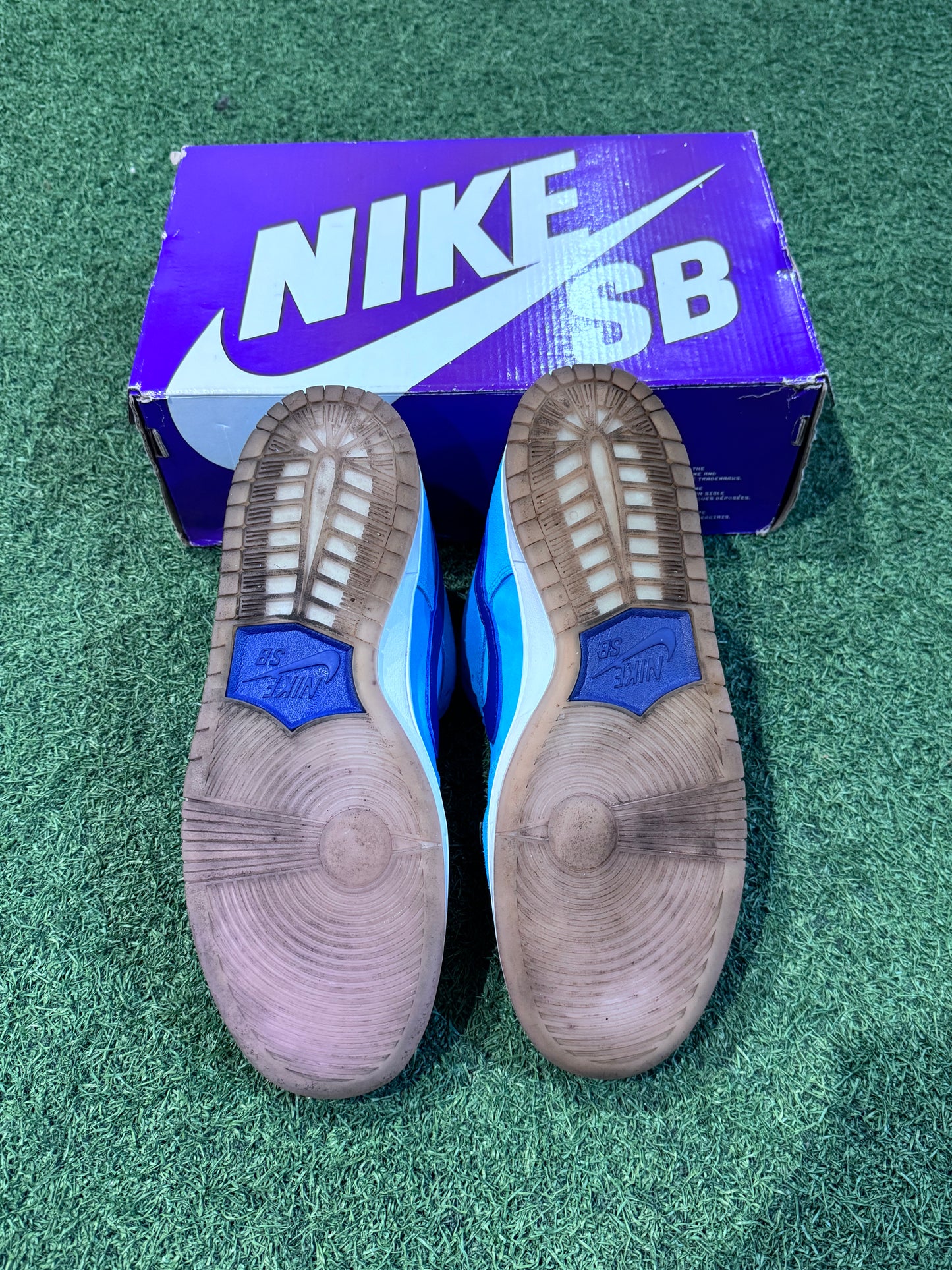 Dunk Low SB Blue Fury (9)