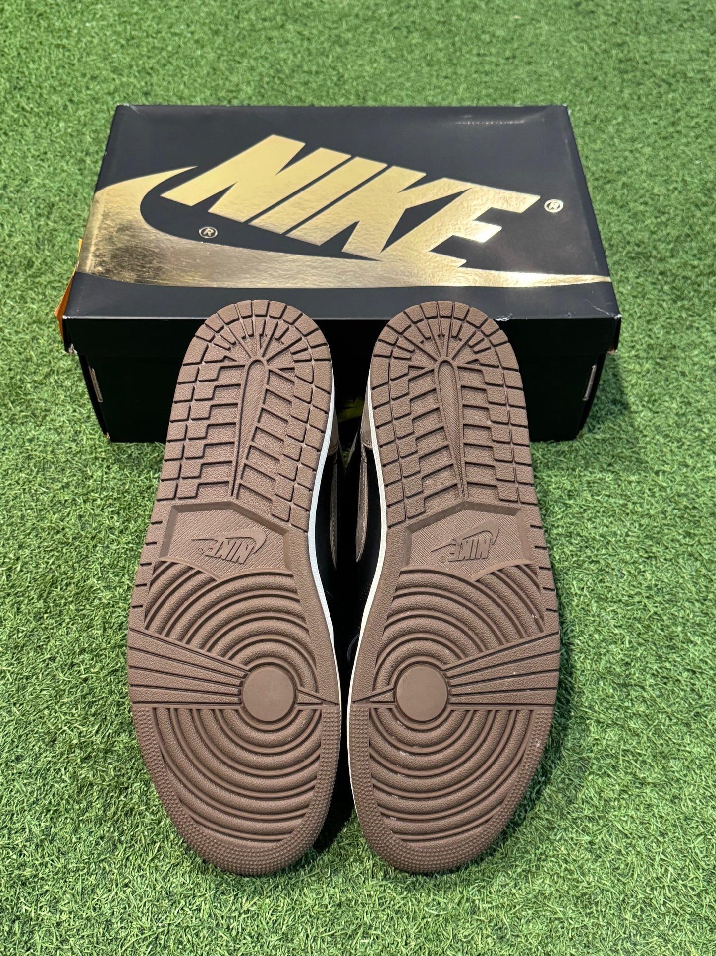 Jordan 1 Palomino (10.5)