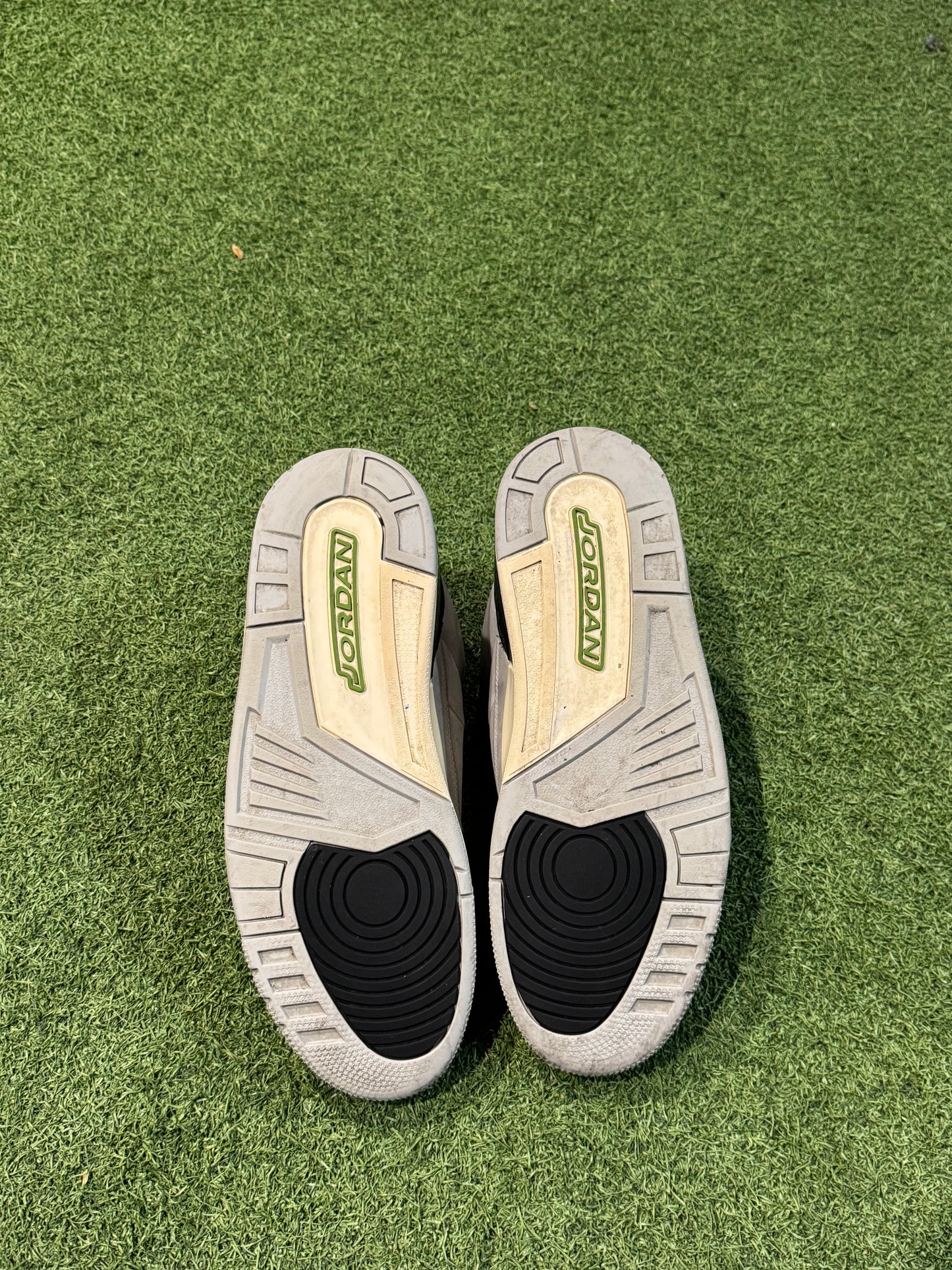 Jordan 3 Chlorophyll (12.5)