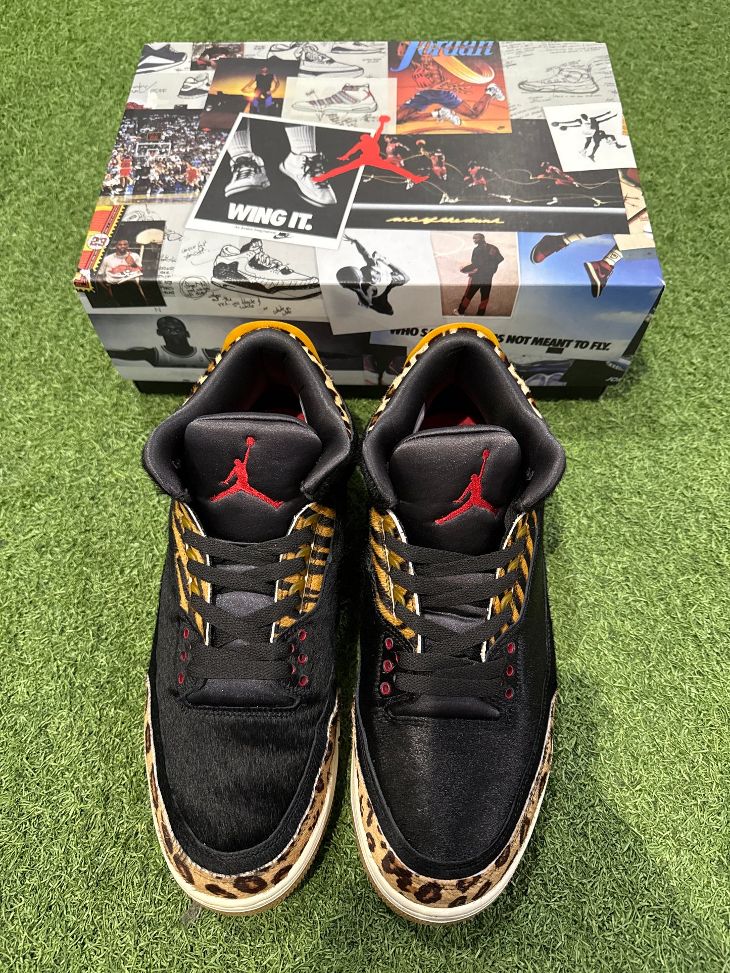 Jordan 3 Animal Instinct (12)