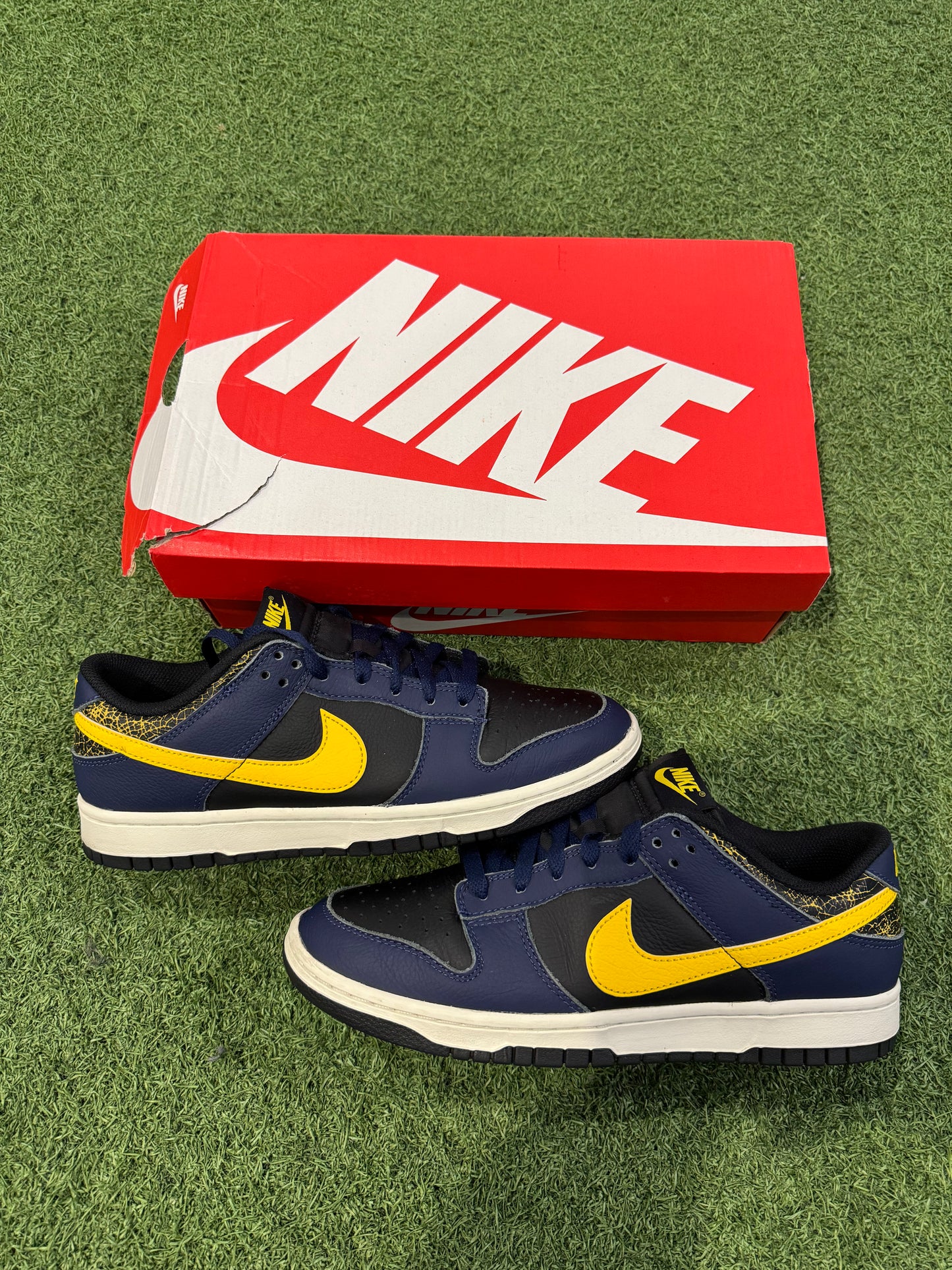 Dunk Low Vintage Michigan (9)