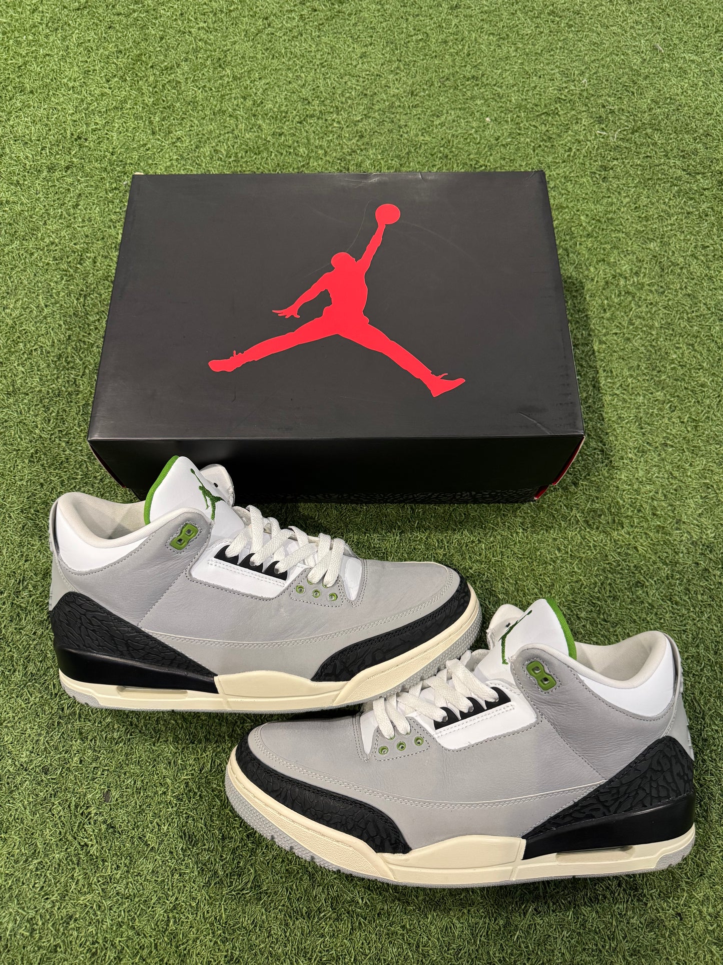 Jordan 3 Chlorophyll (12)