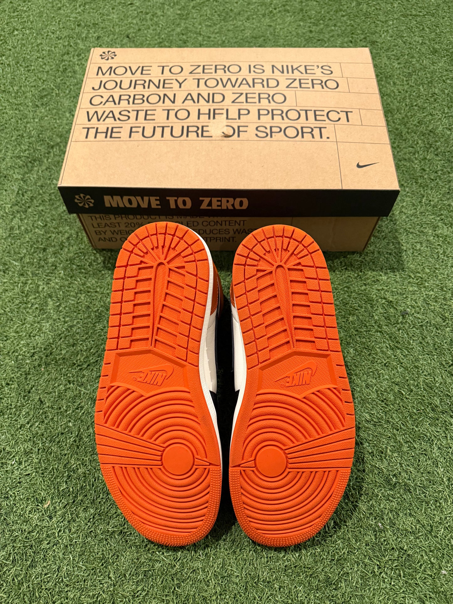 Jordan 1 Shattered Backboards (9.5)