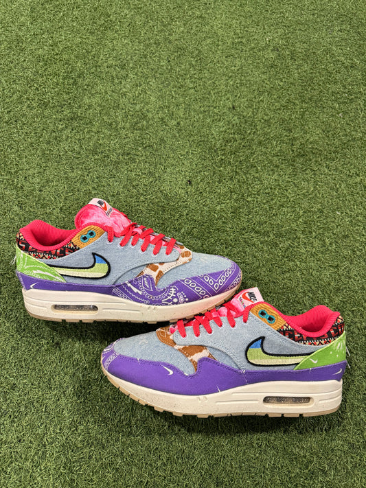 Air Max 1 Concepts Far Out (11)