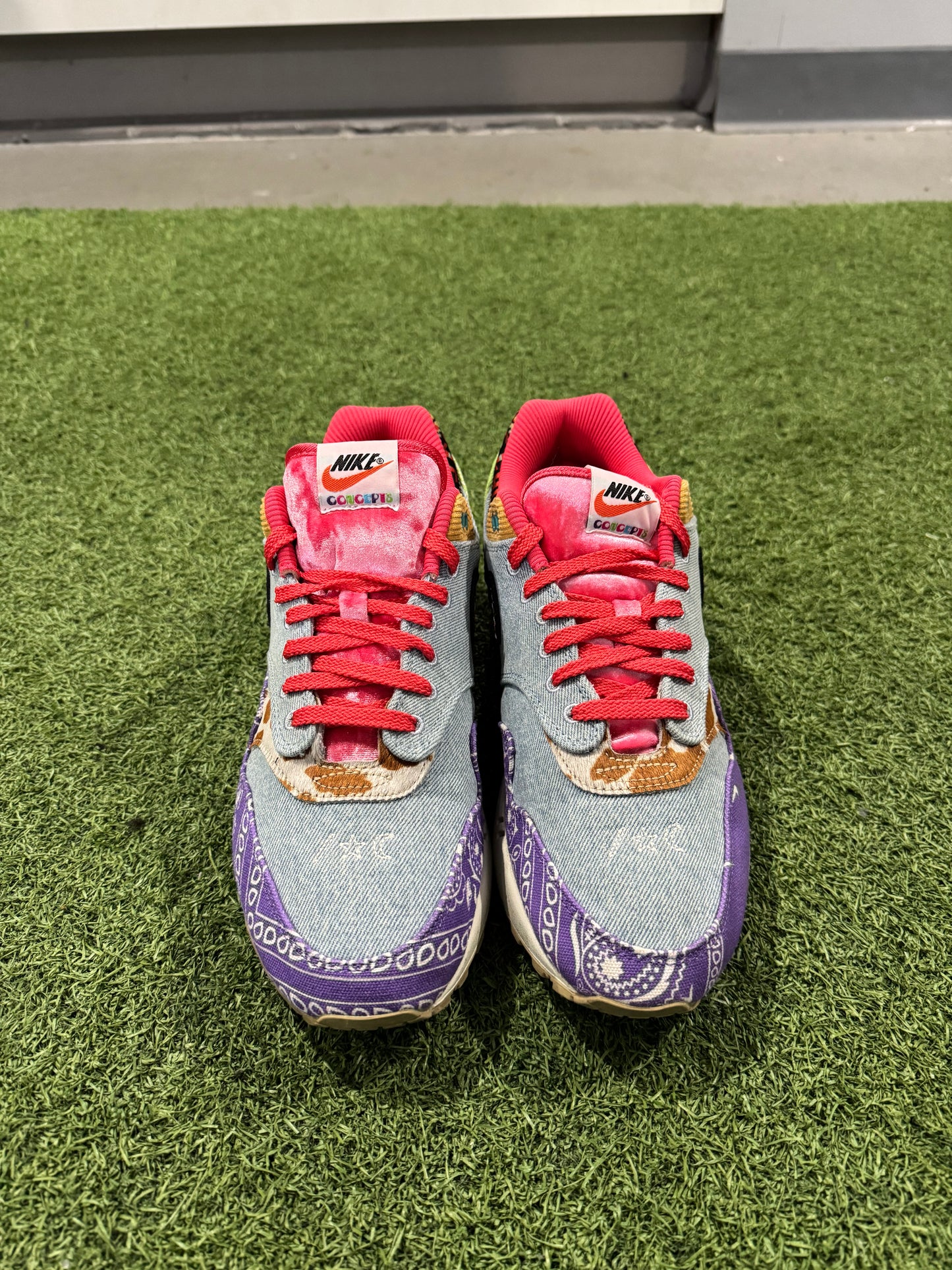 Air Max 1 Concepts Far Out (11)