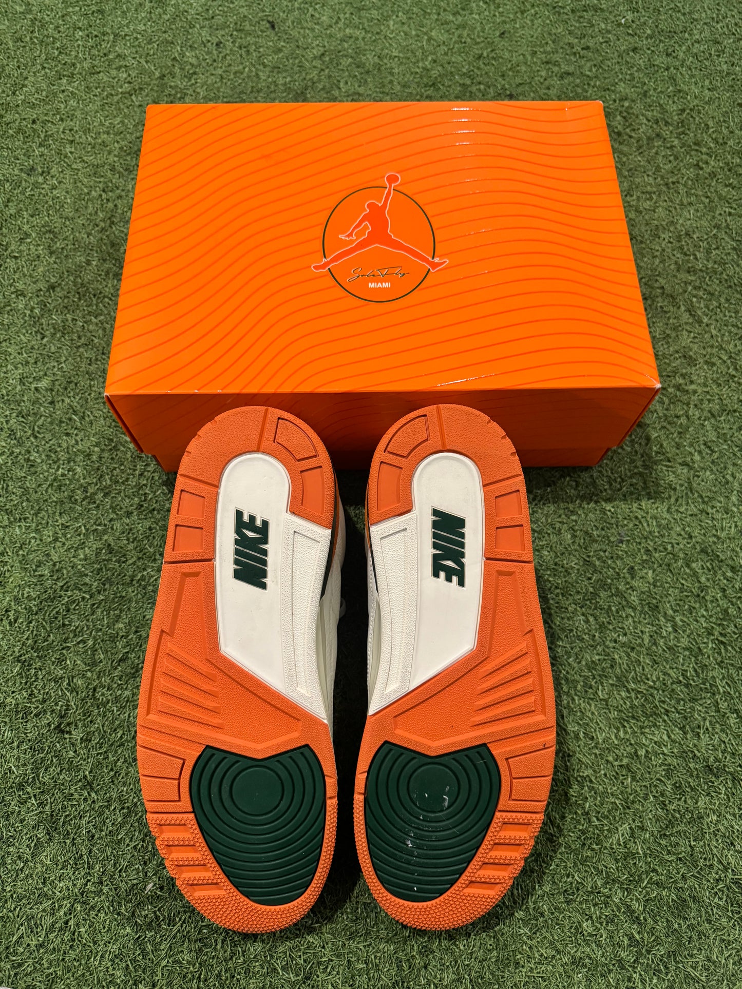 Jordan 3 Solefly (12)