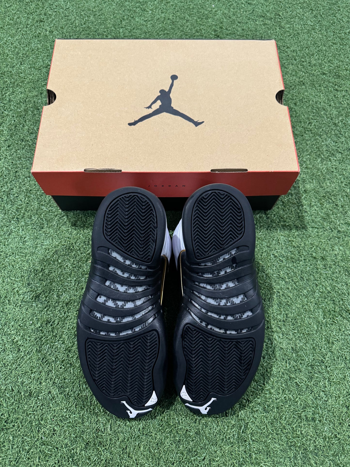 Jordan 12 Royalty (9.5)