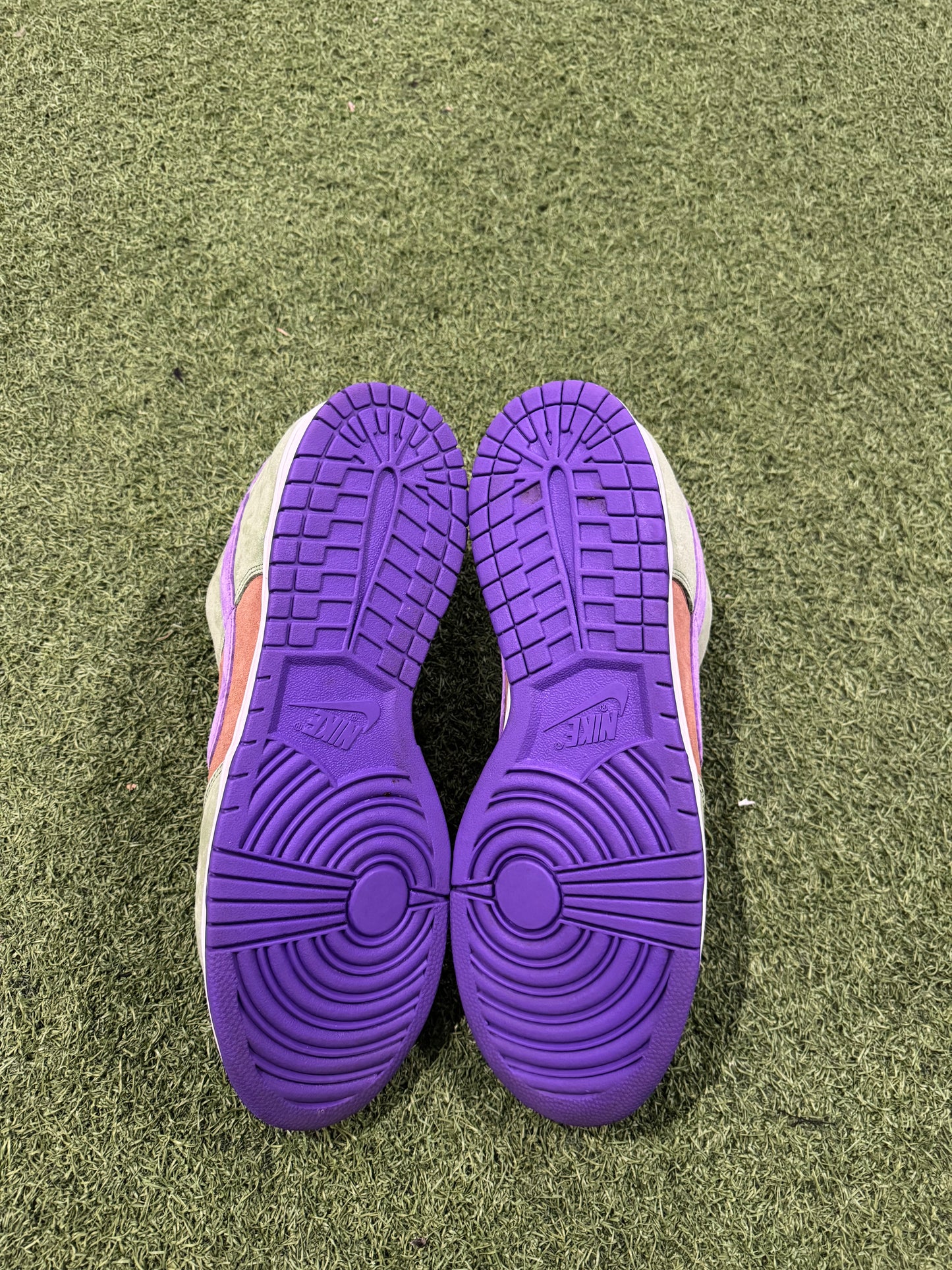 Dunk Low Veneer (14)