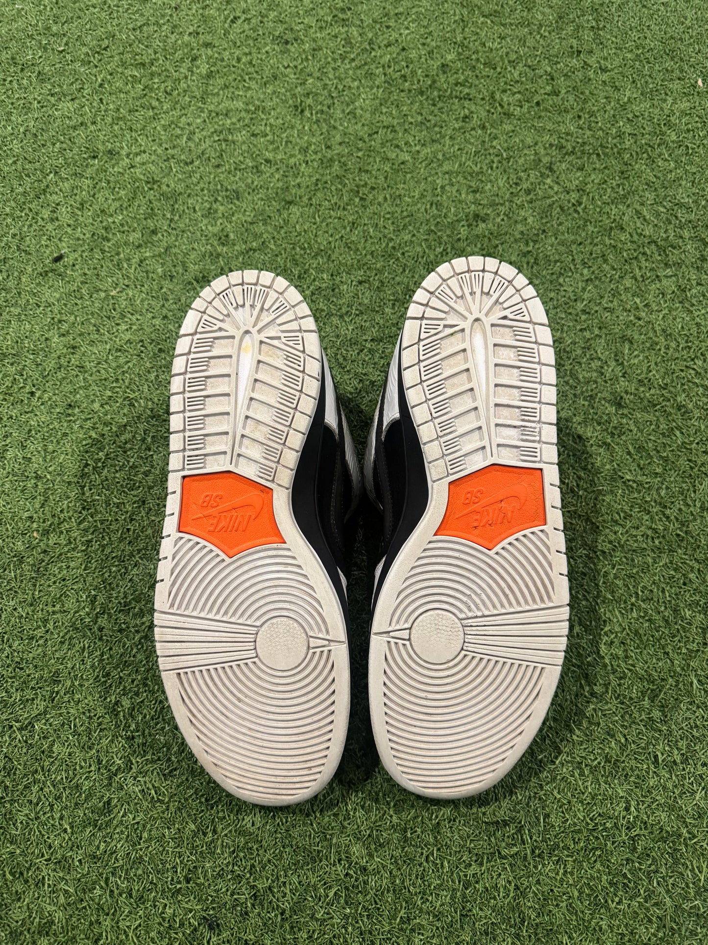 Dunk Low SB Tightbooth (13)