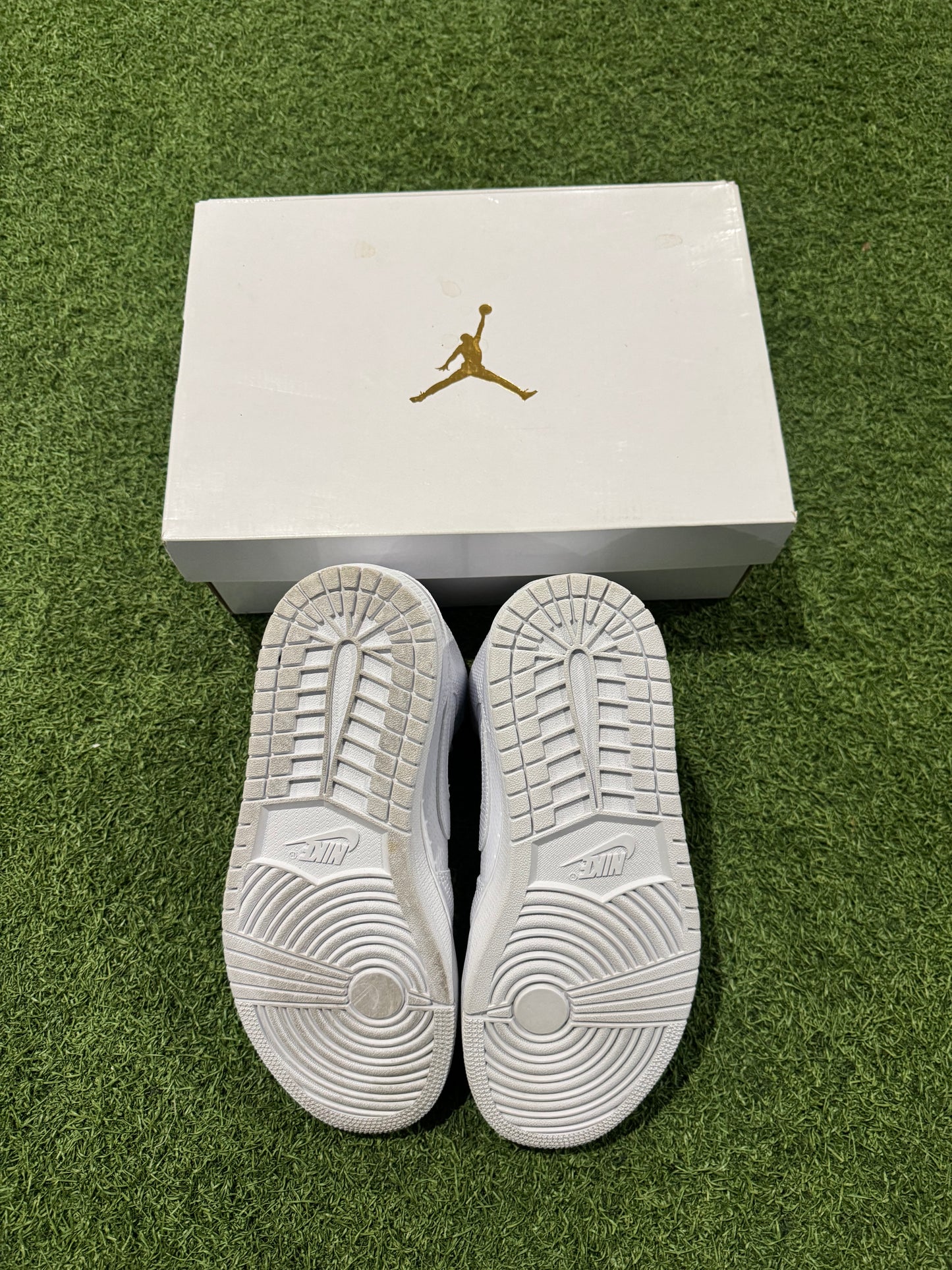 Jordan 1 Mid White Snakeskin (8W)