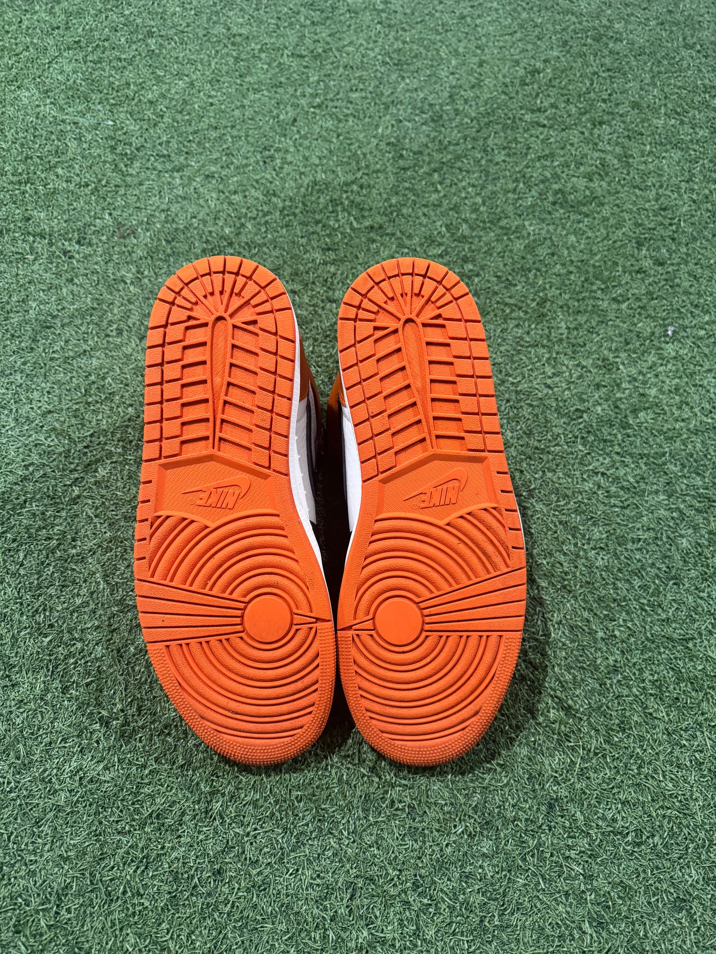 Jordan 1 Shattered Backboard (11)