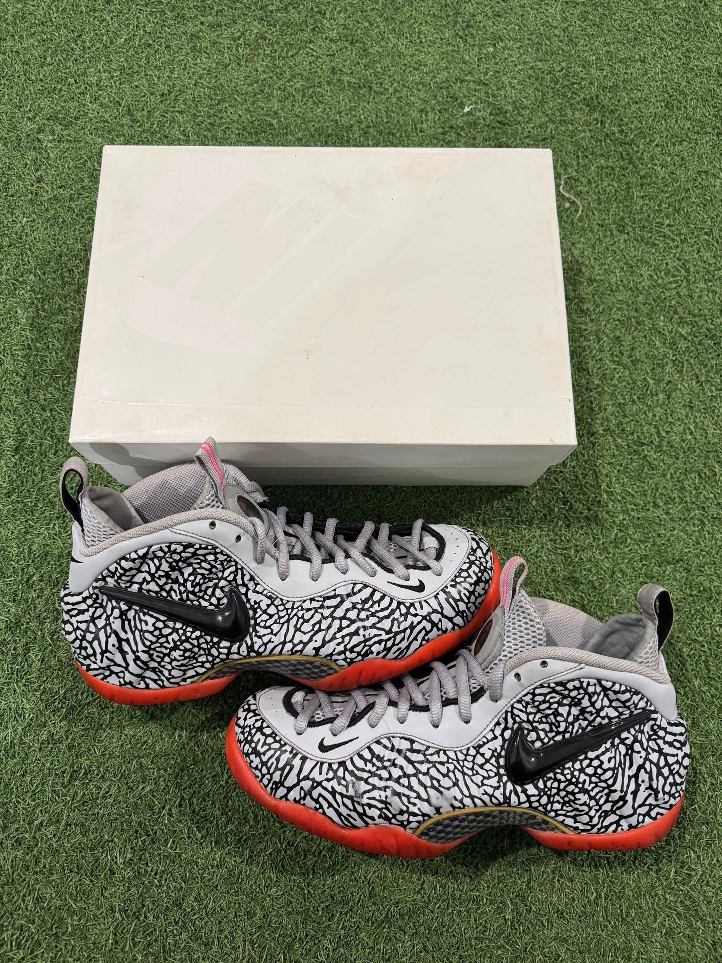 Foamposite Pro Elephant Print (10.5)