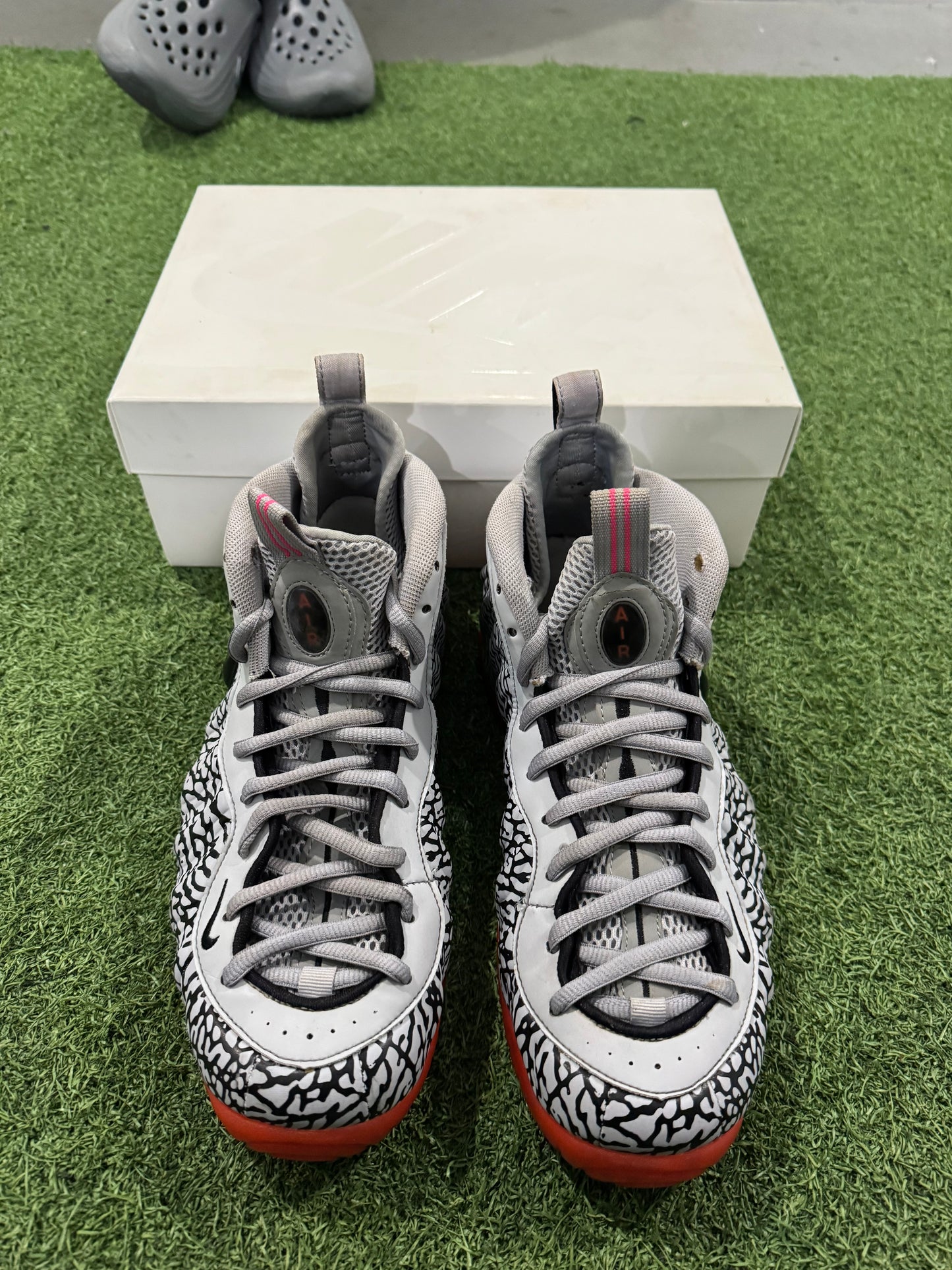 Foamposite Pro Elephant Print (10.5)
