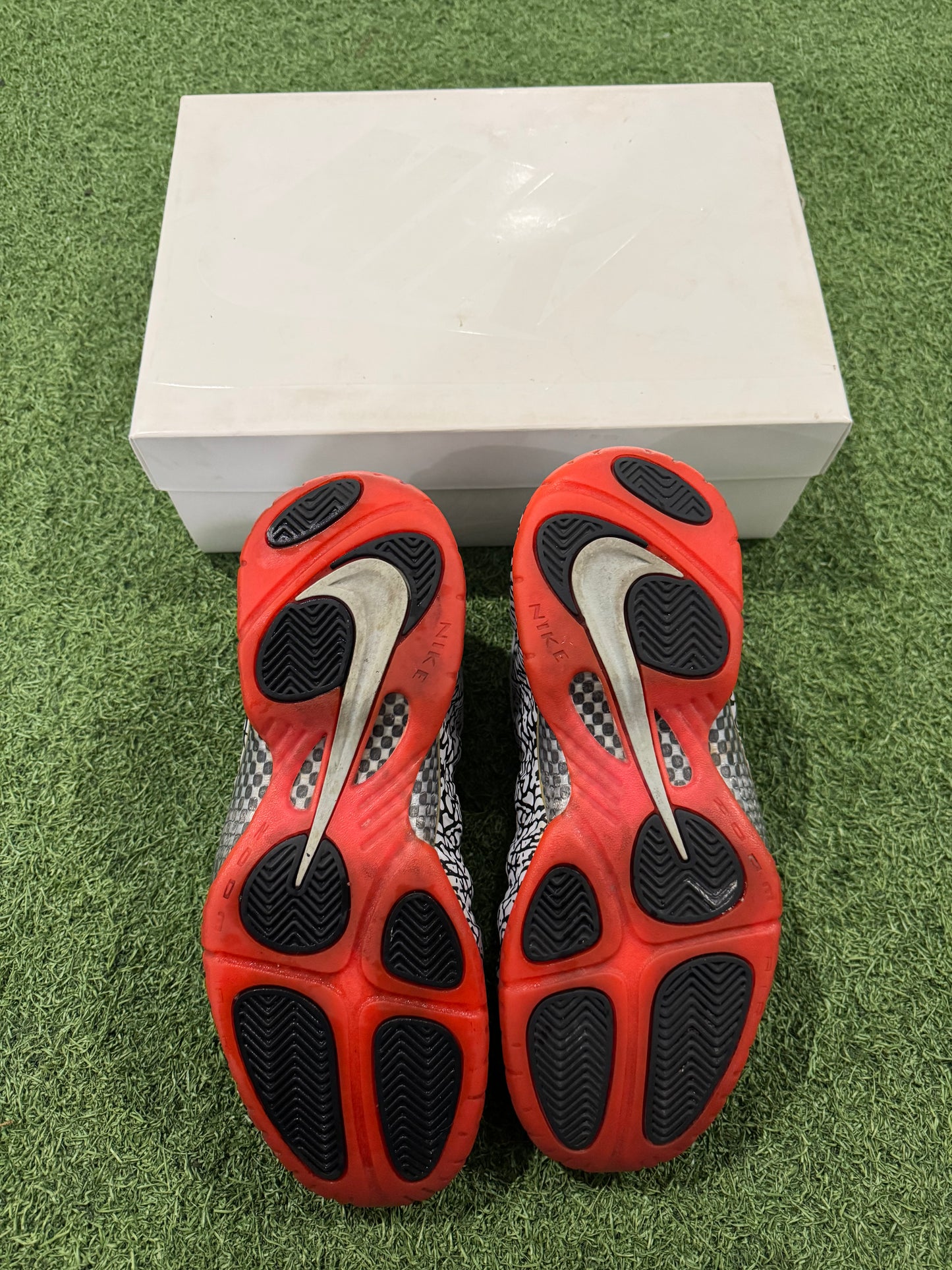 Foamposite Pro Elephant Print (10.5)