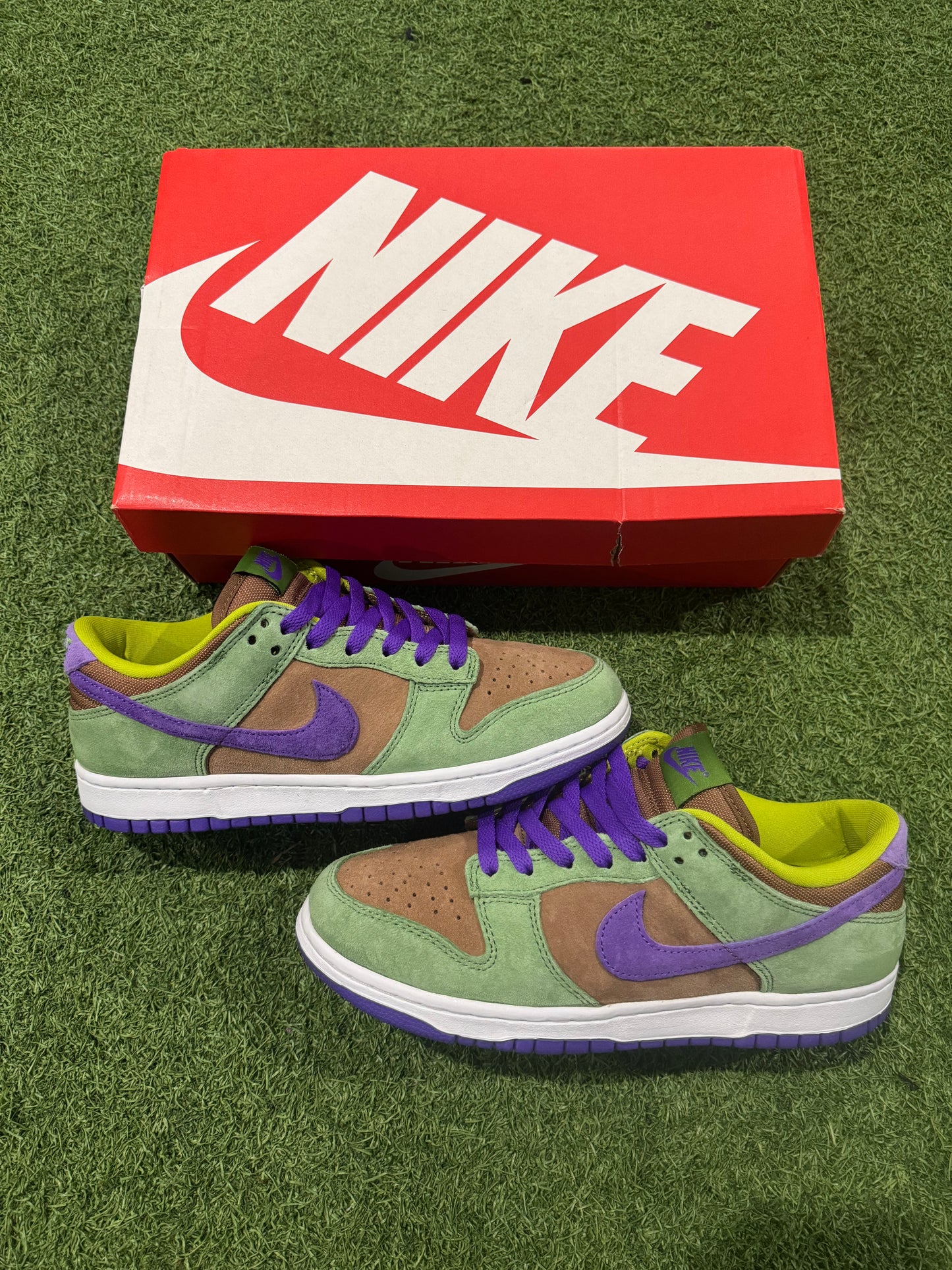 Dunk Low Veneer (7)