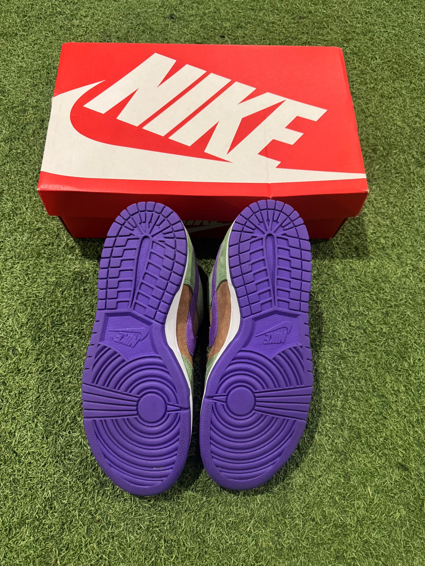 Dunk Low Veneer (7)