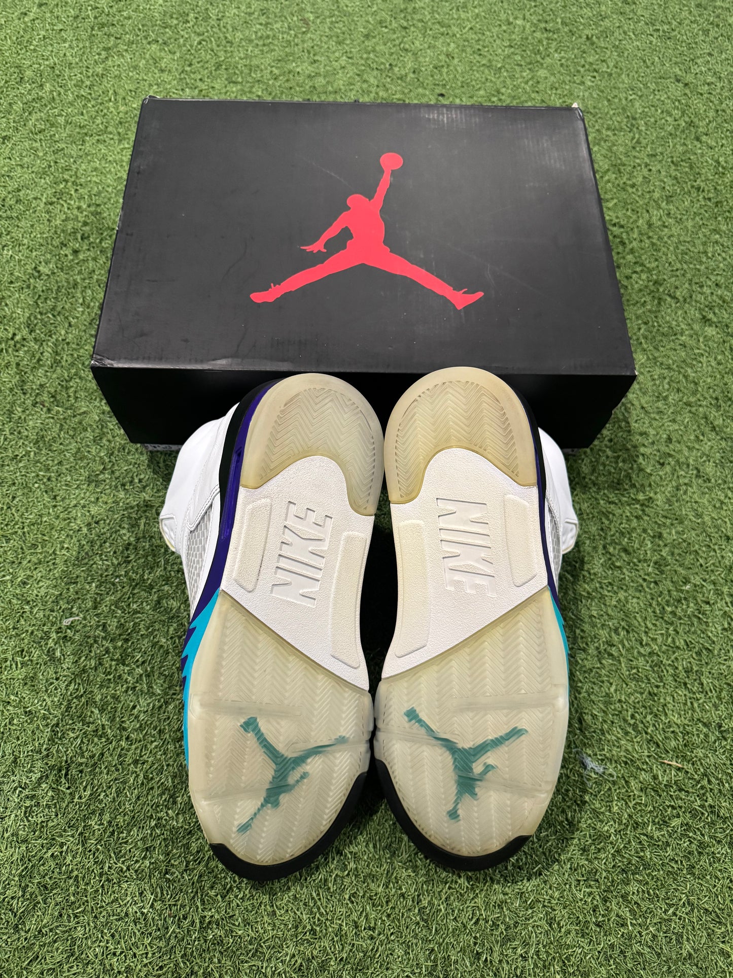 Jordan 5 Grape Fresh Prince (12)