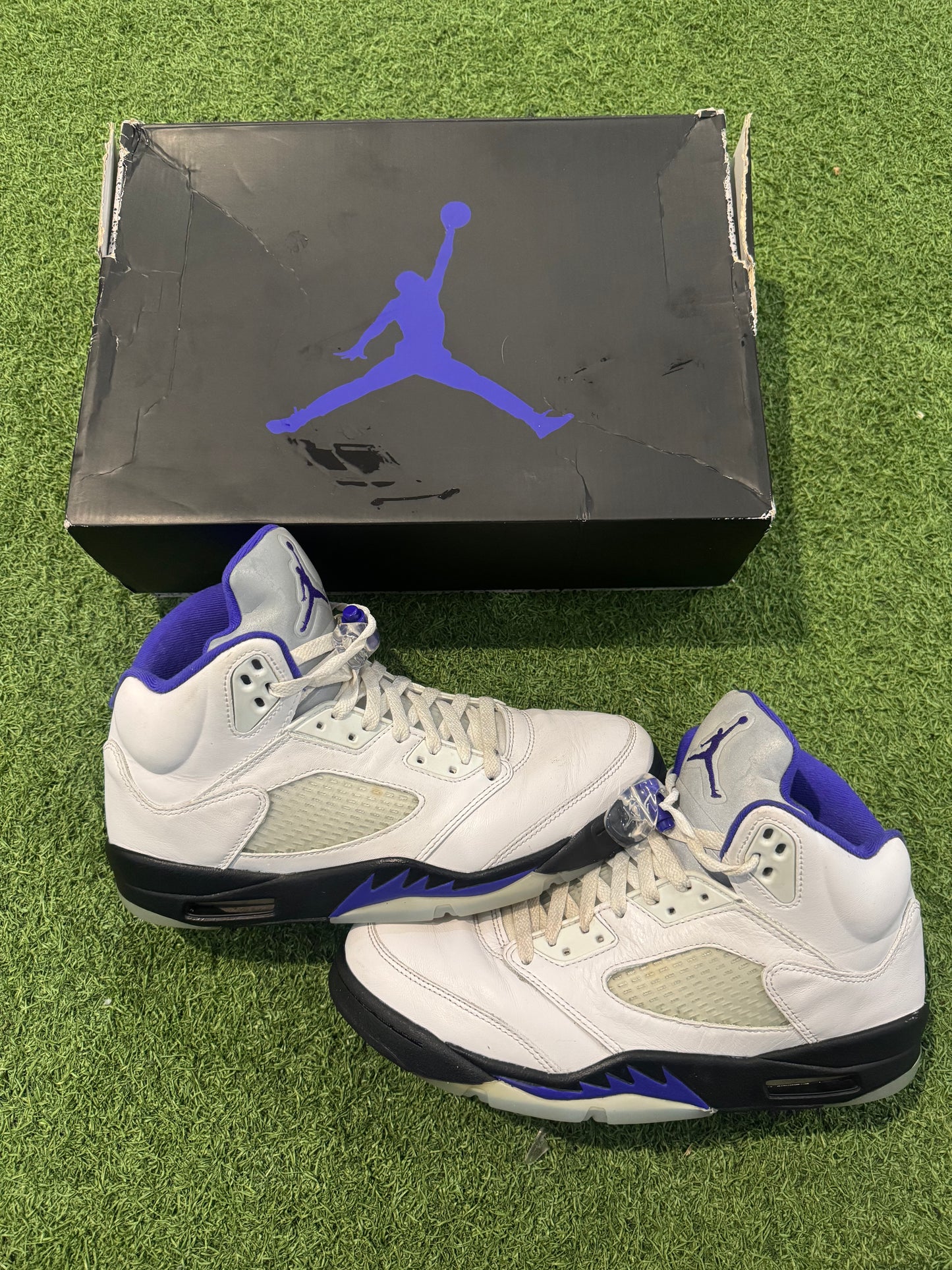 Jordan 5 Concord (10)