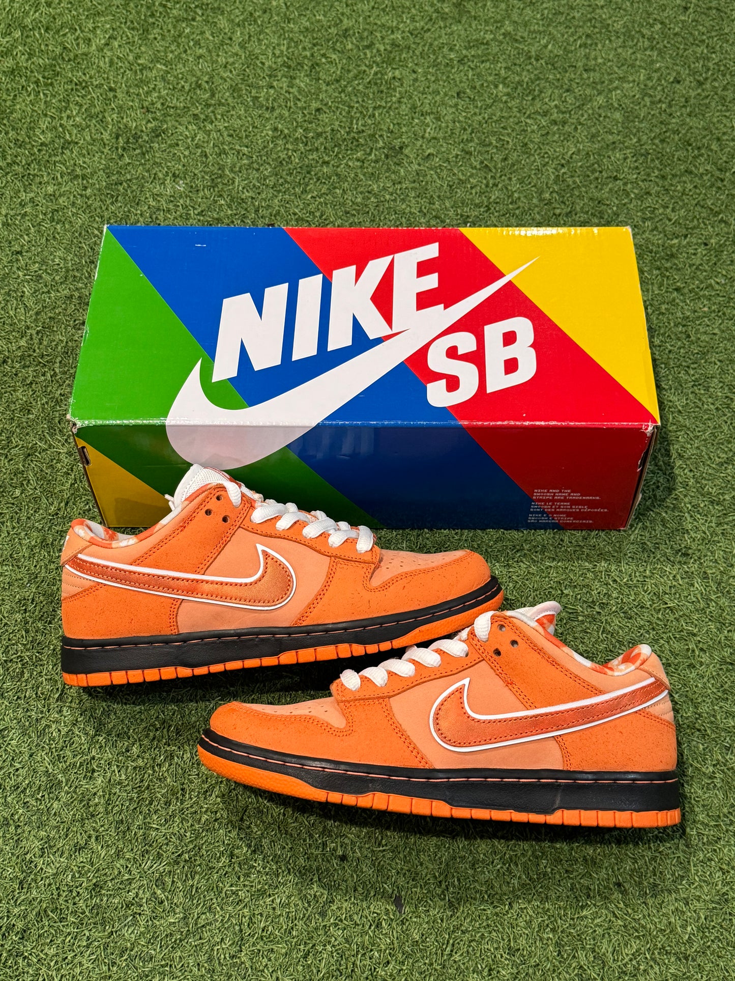 Dunk Low SB Orange Lobster (7)