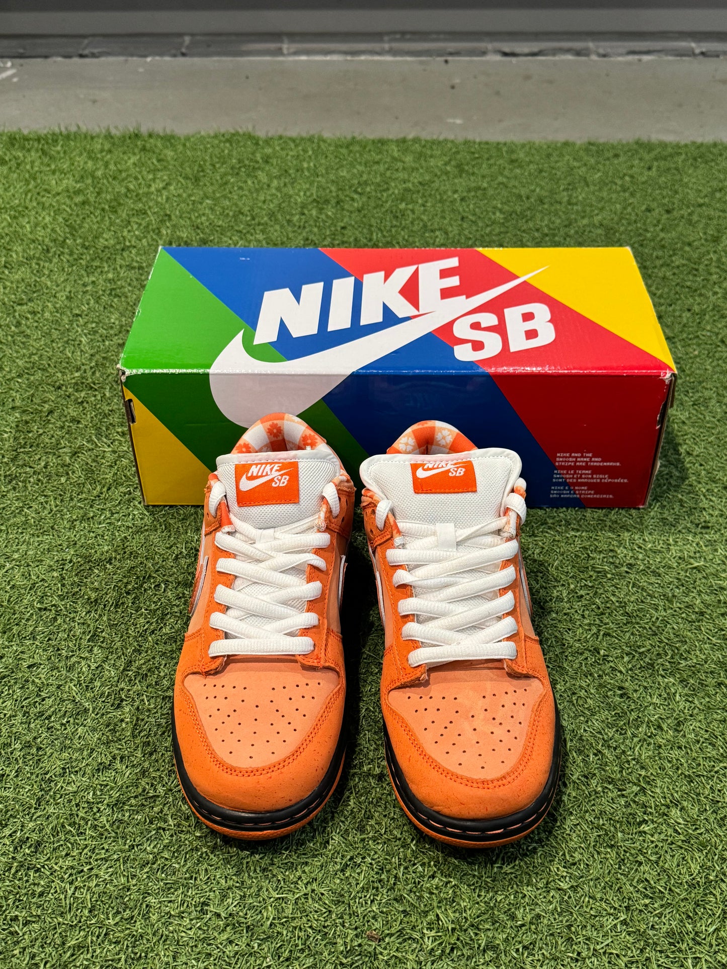 Dunk Low SB Orange Lobster (7)