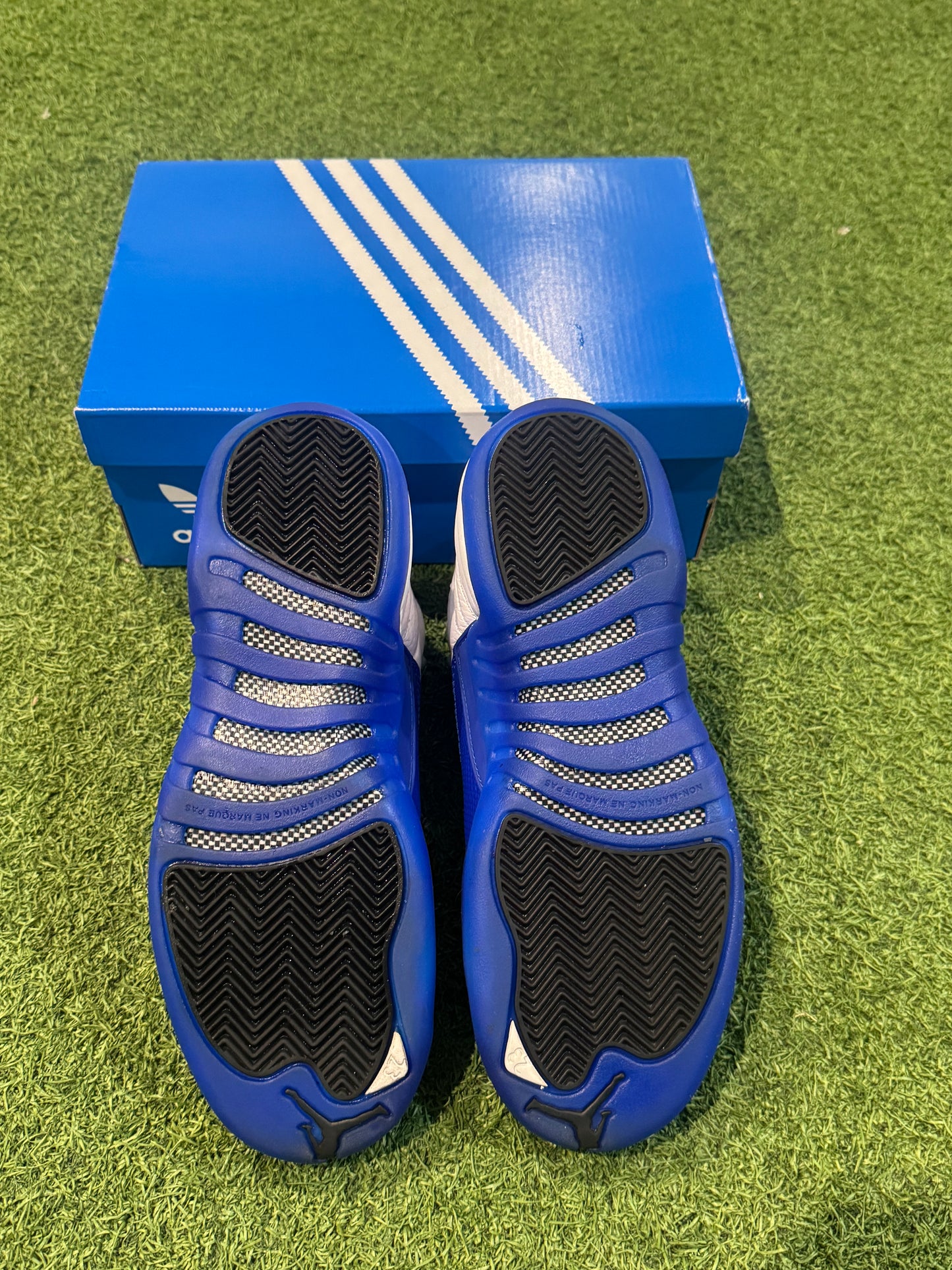 Jordan 12 Blueberry (6.5Y)