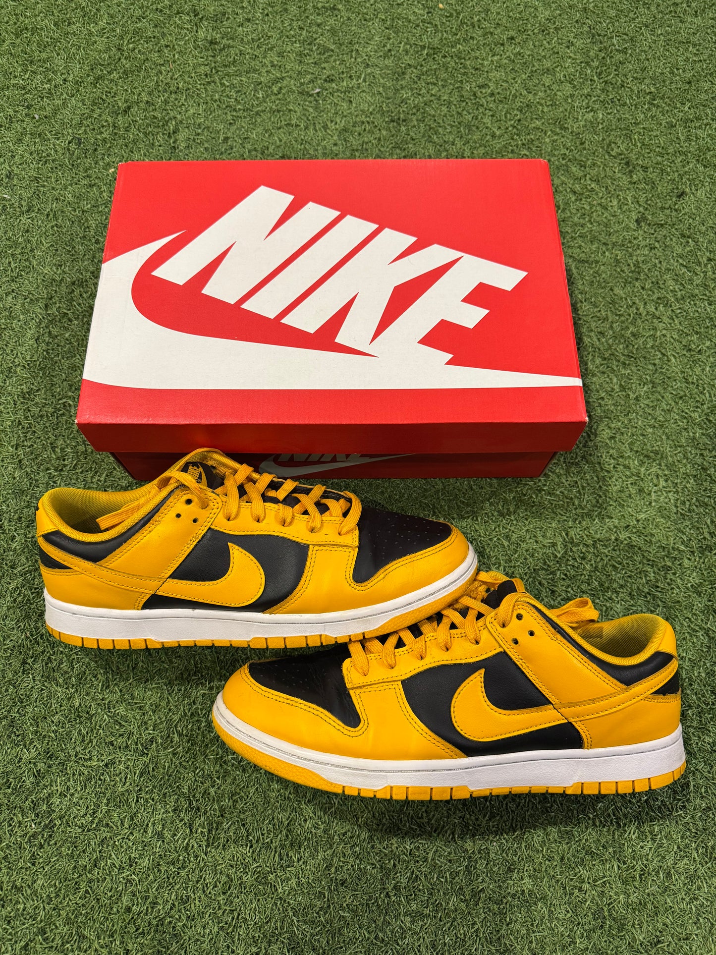 Dunk Low Goldenrod (11.5)
