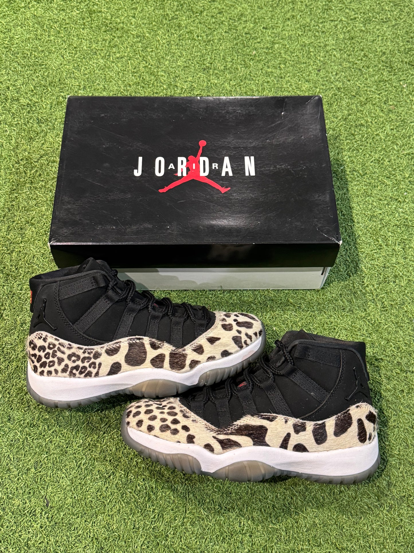 Jordan 11 Animal Instinct (6W)