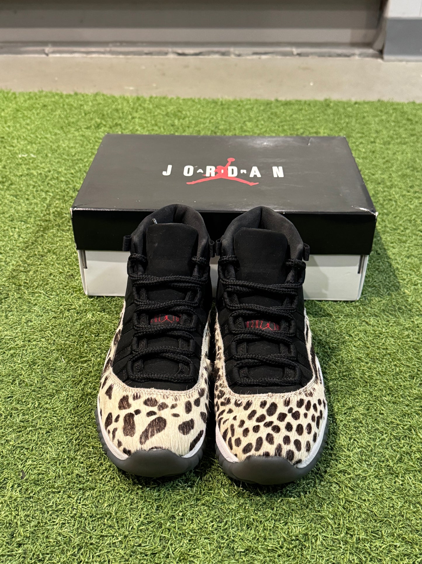 Jordan 11 Animal Instinct (6W)