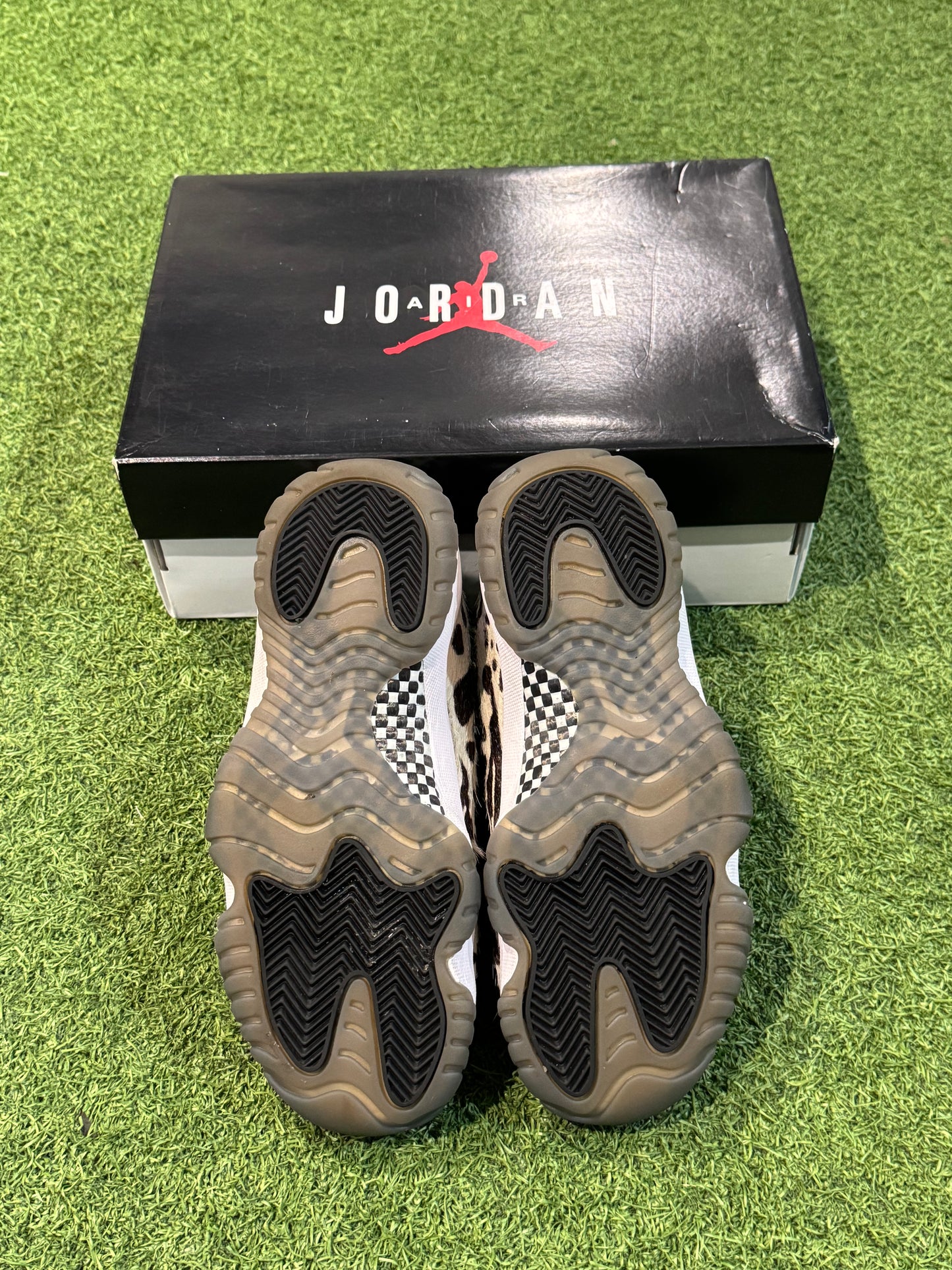 Jordan 11 Animal Instinct (6W)