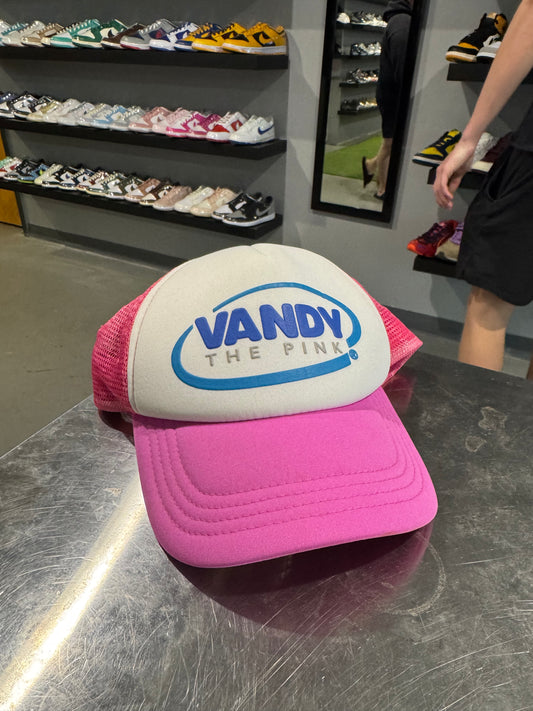 Vandy The Pink Trucker Hat Pink