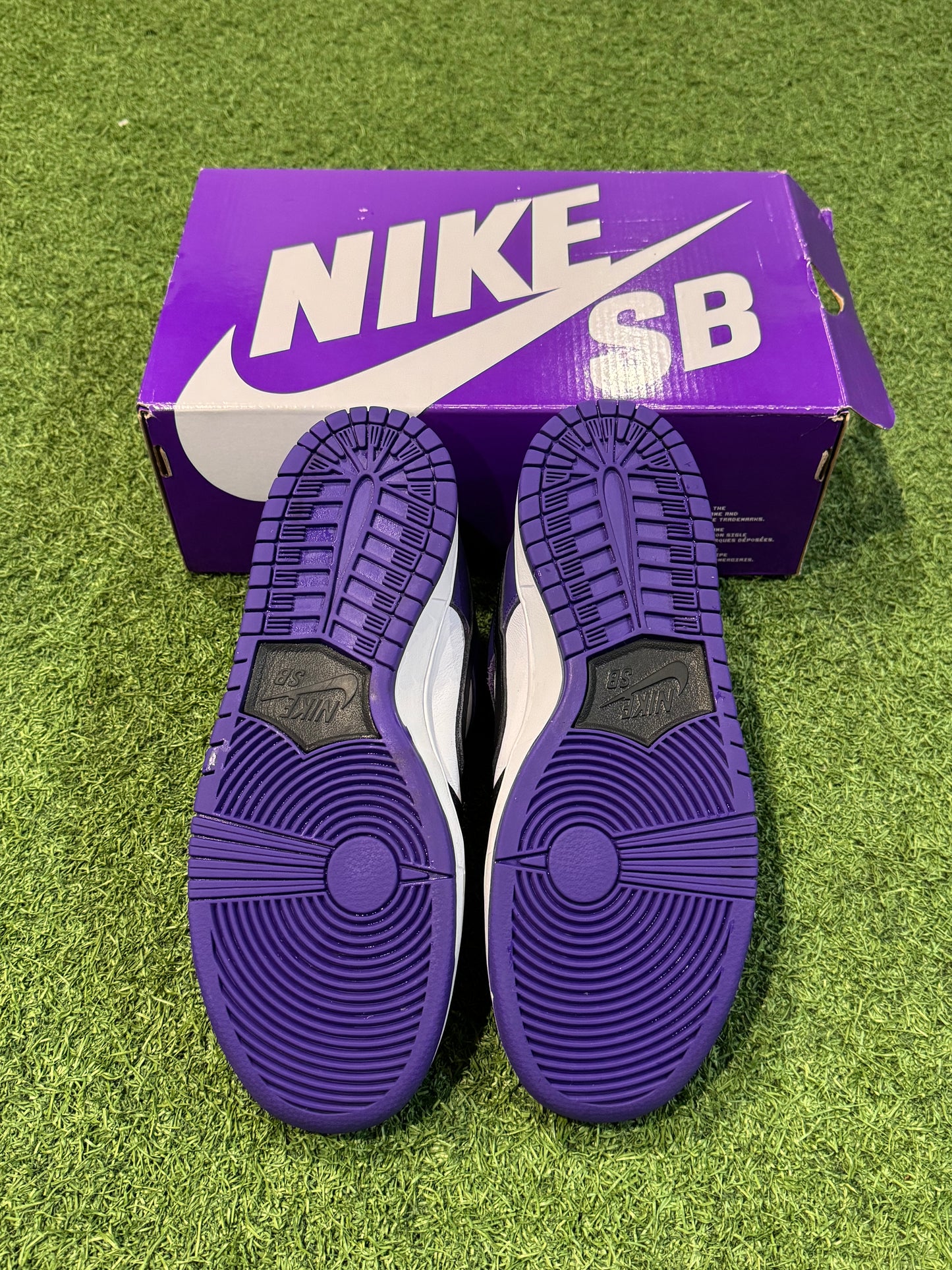 Dunk Low SB Court Purple (9)