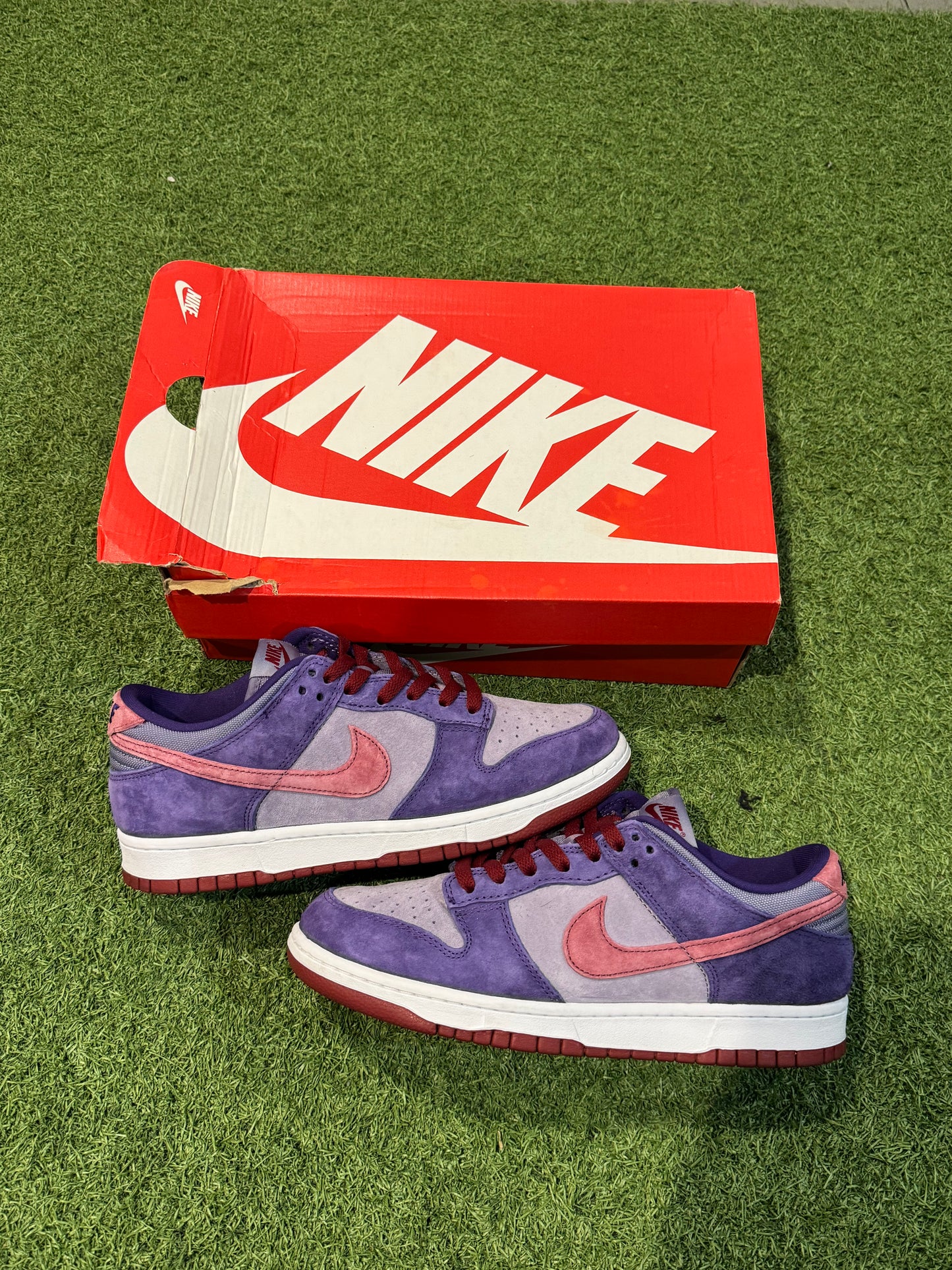 Dunk Low Plum (9)