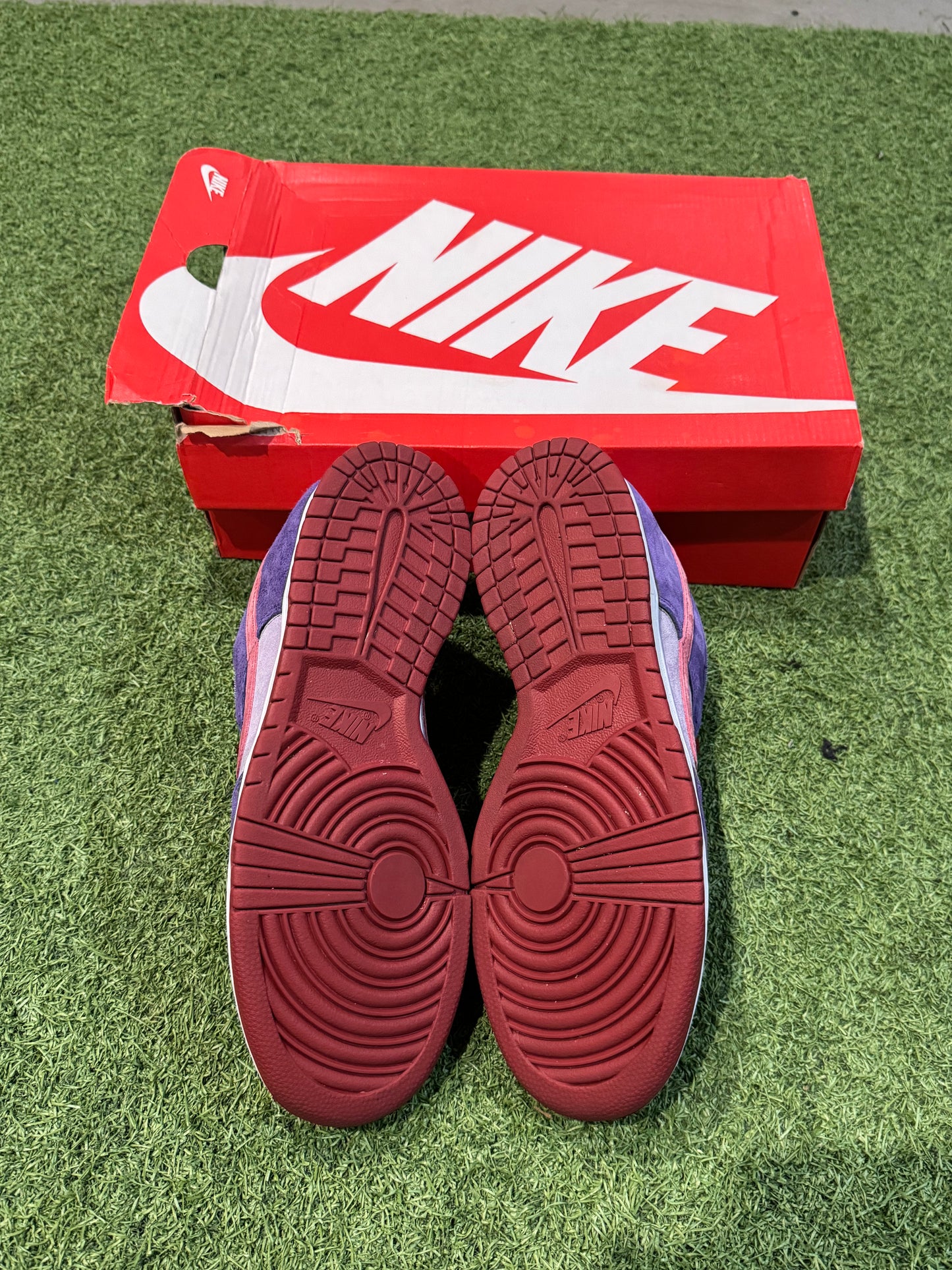 Dunk Low Plum (9)