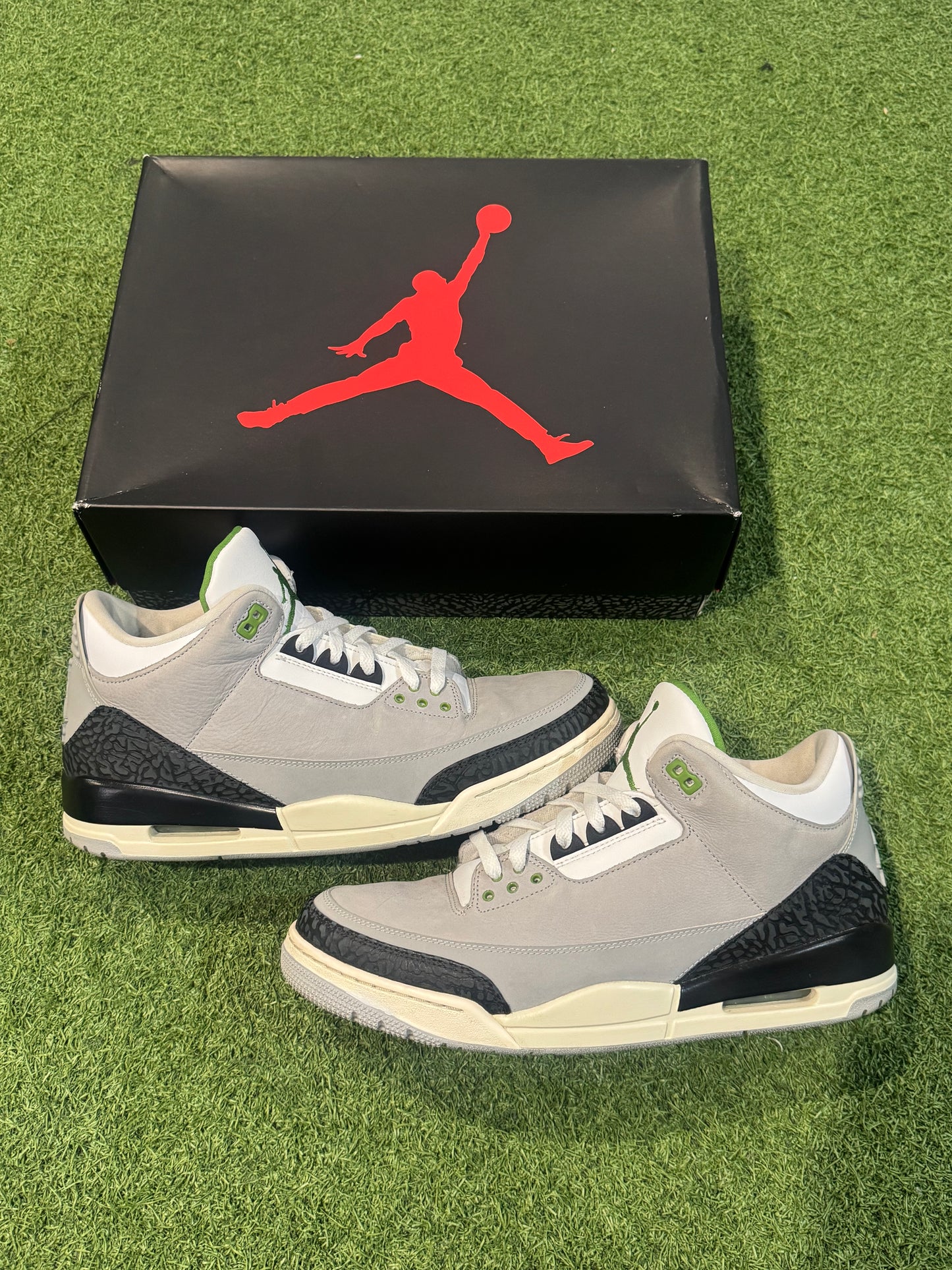 Jordan 3 Chlorophyll (13)