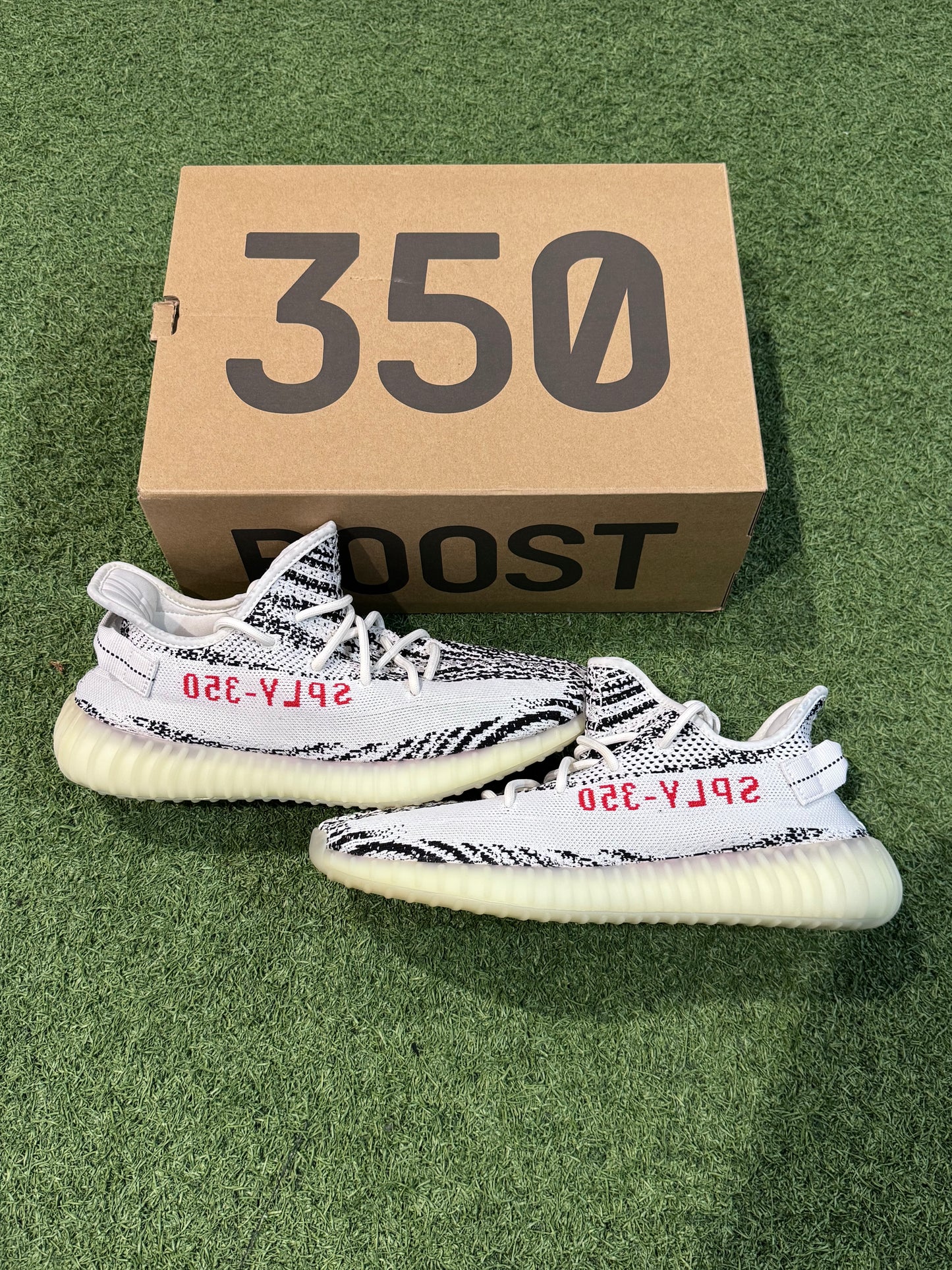 Yeezy 350 Zebra (10.5)