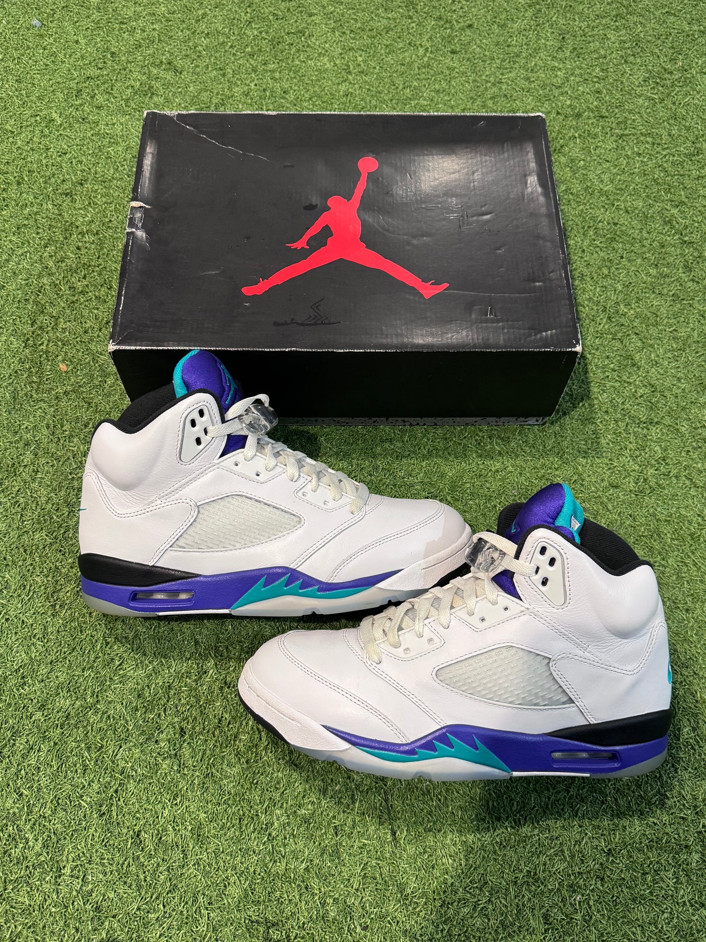 Jordan 5 Grape (10)