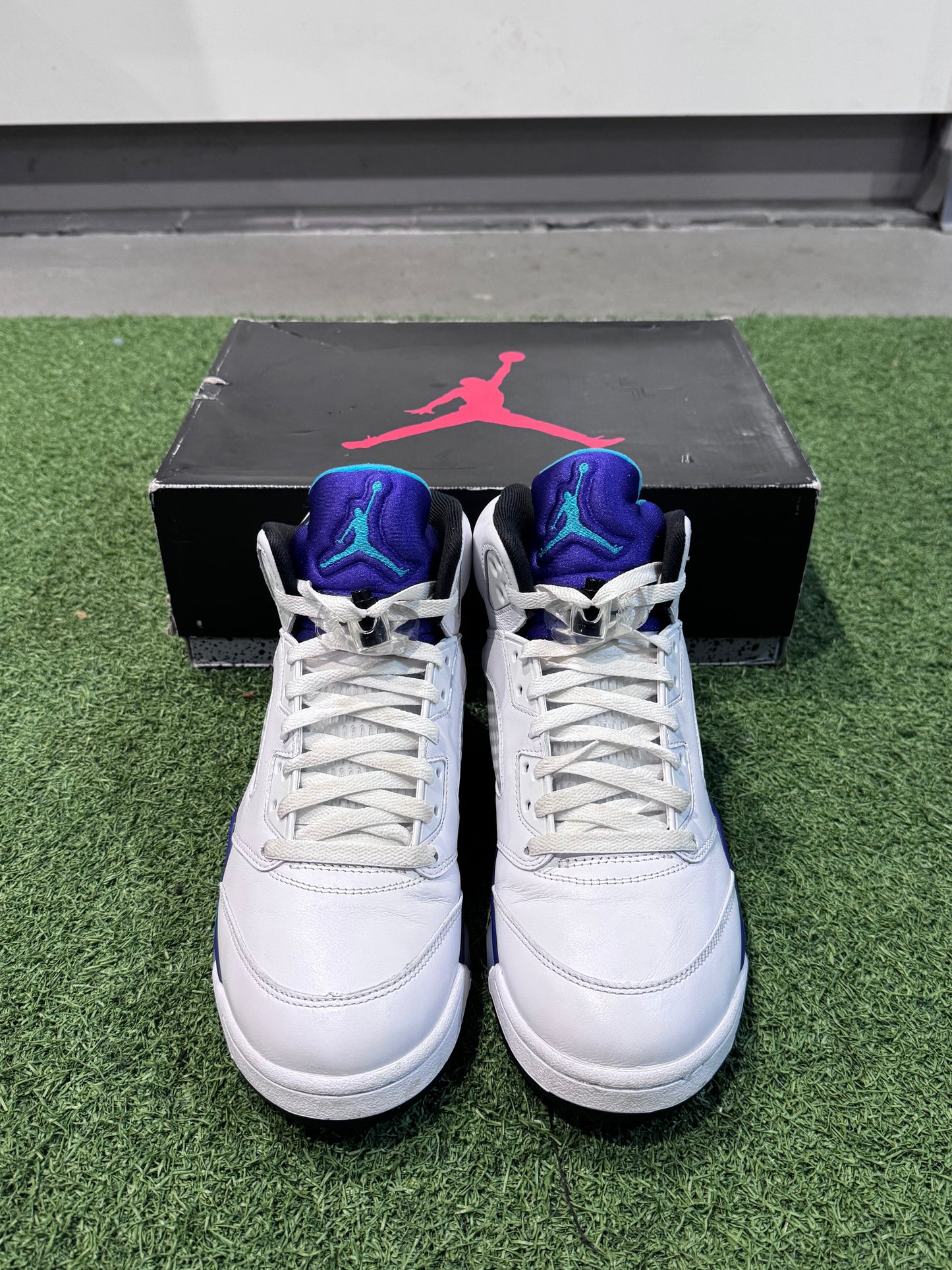 Jordan 5 Grape (10)