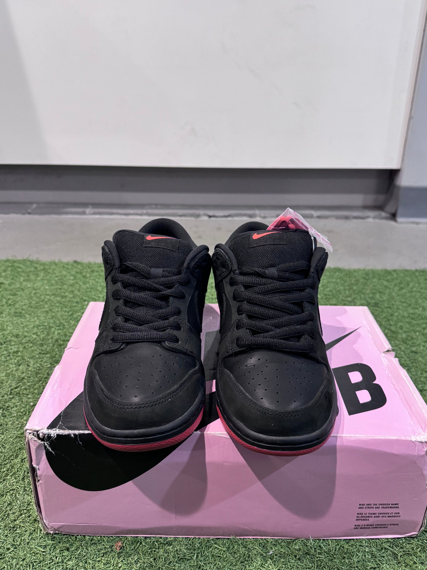 Dunk Low SB Black Piegon (10)