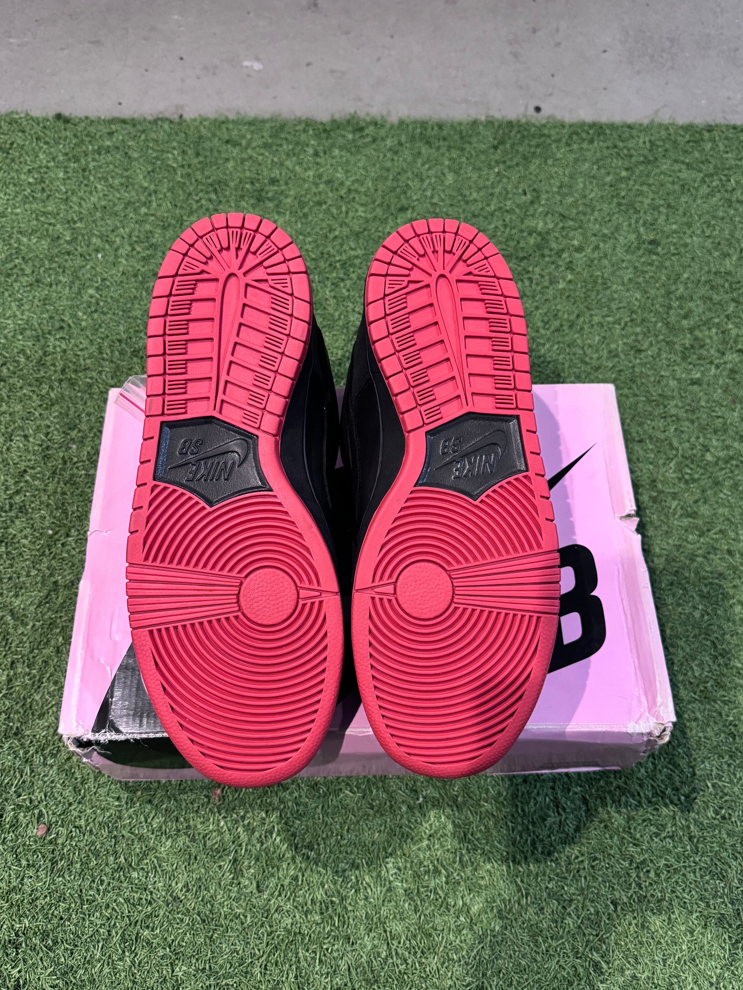 Dunk Low SB Black Piegon (10)