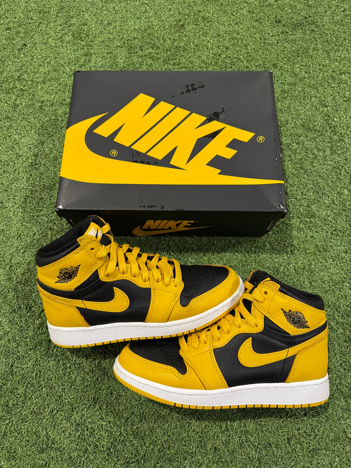 Jordan 1 Pollen (5Y)