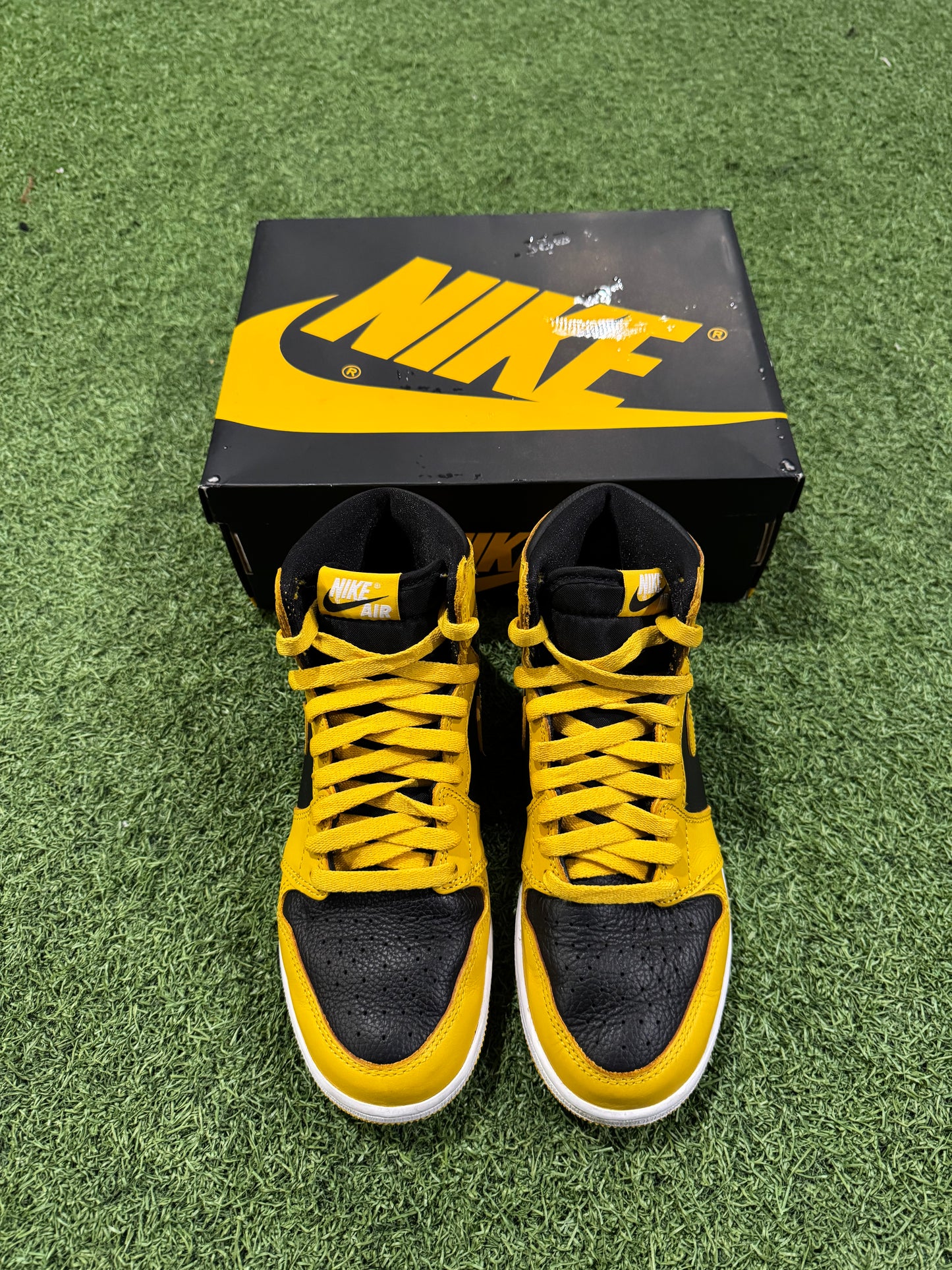 Jordan 1 Pollen (5Y)