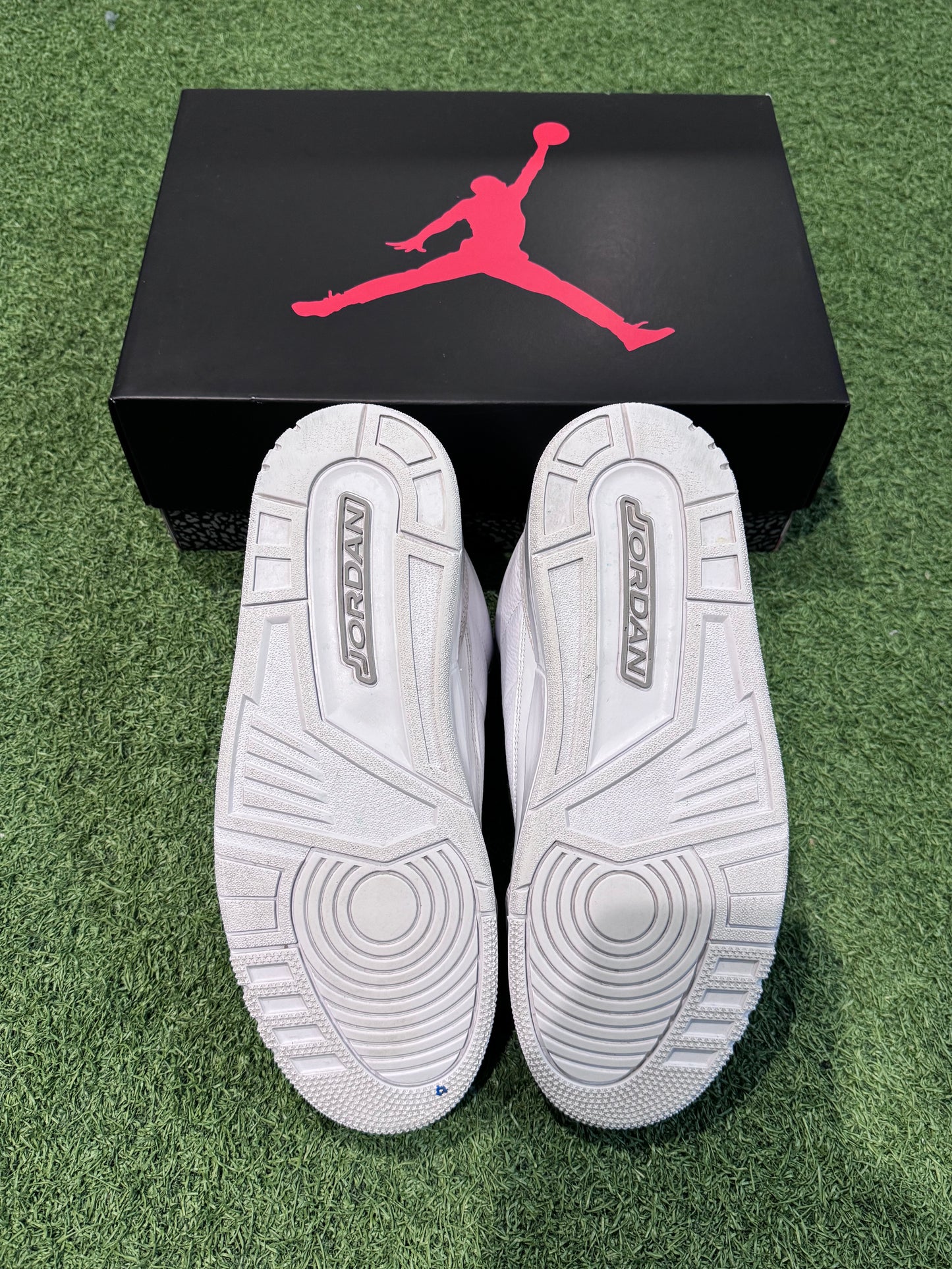 Jordan 3 Pure Money (9.5)
