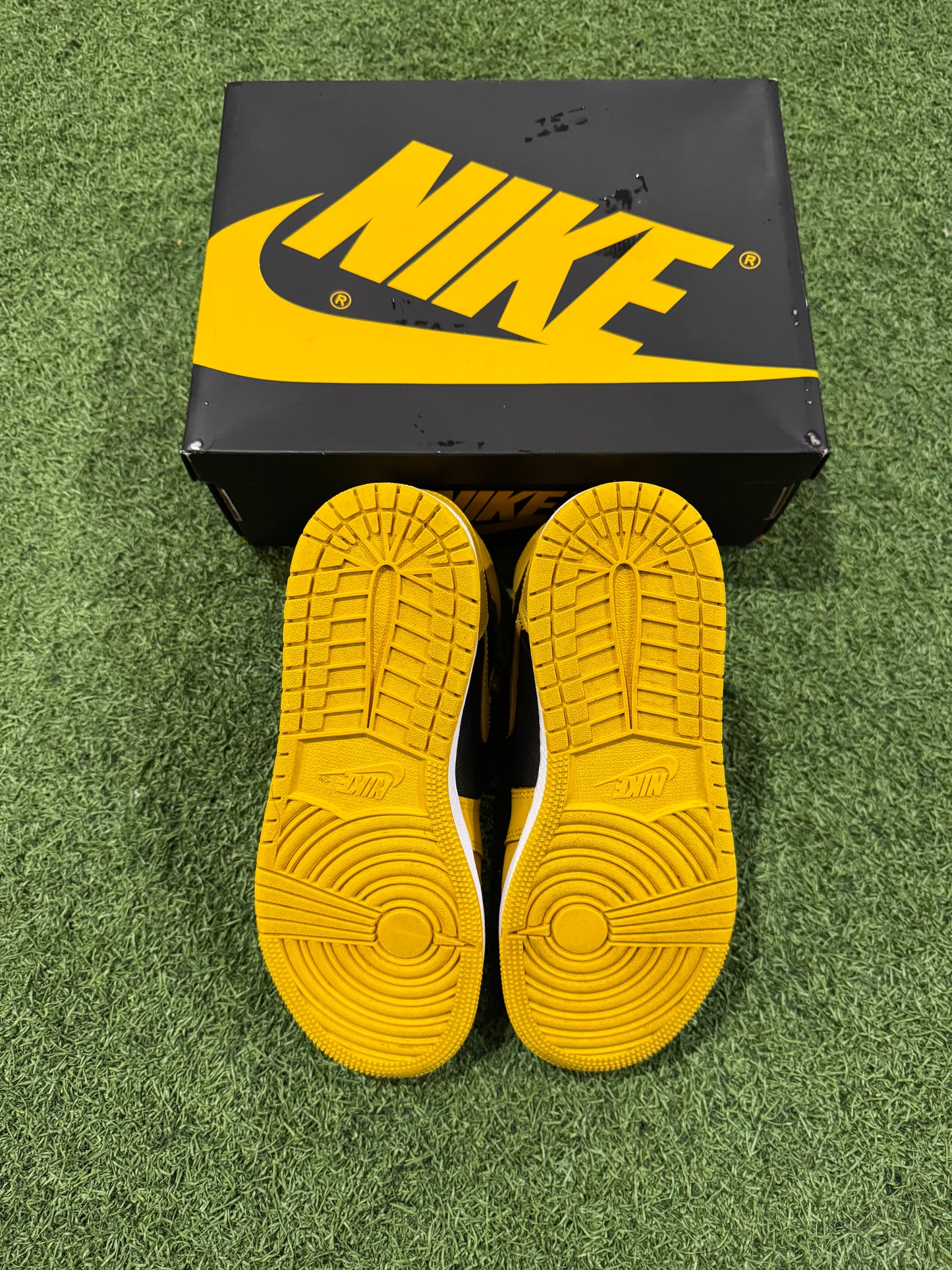 Jordan 1 Pollen (5Y)