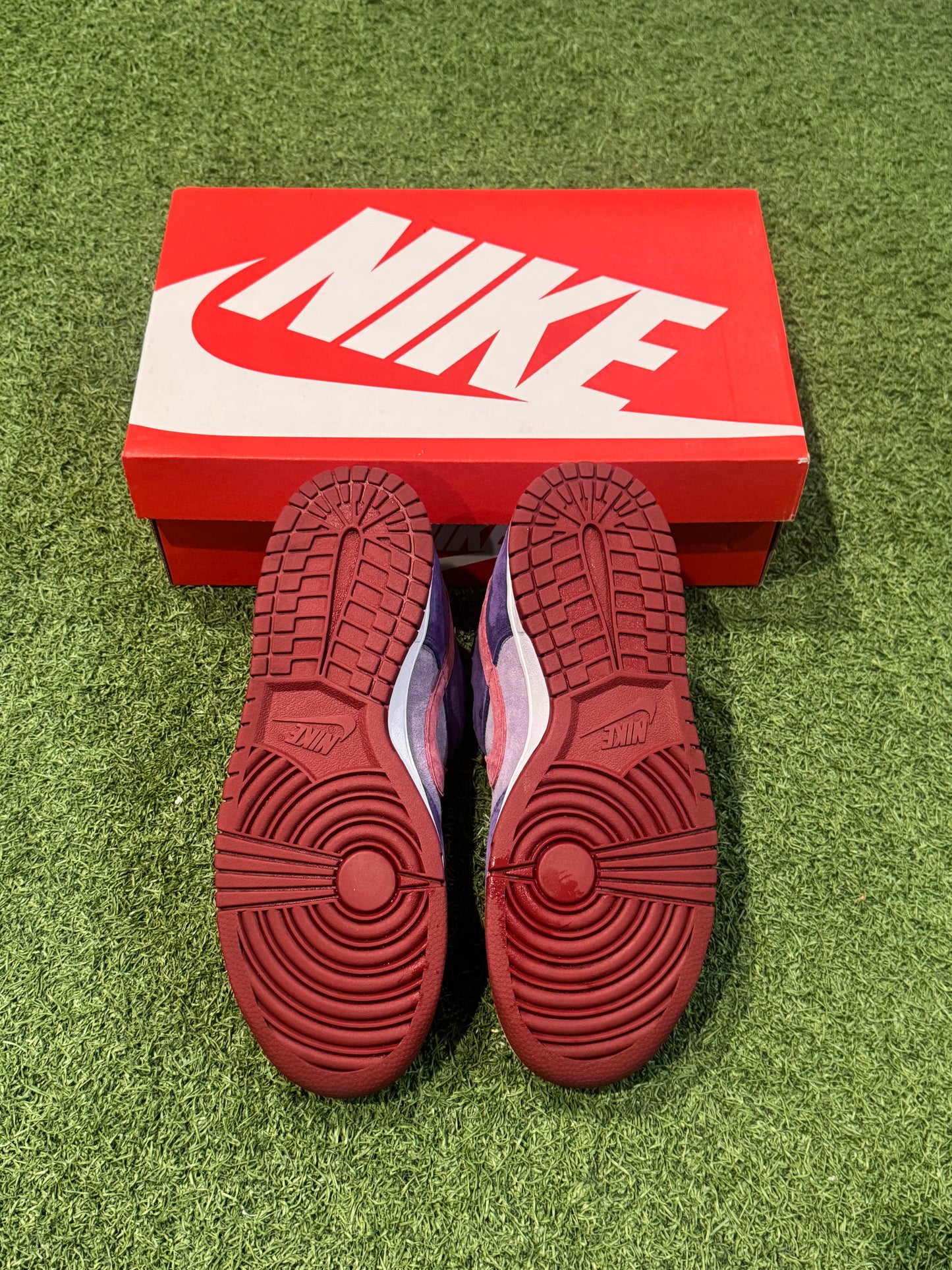 Dunk Low Plum (7)