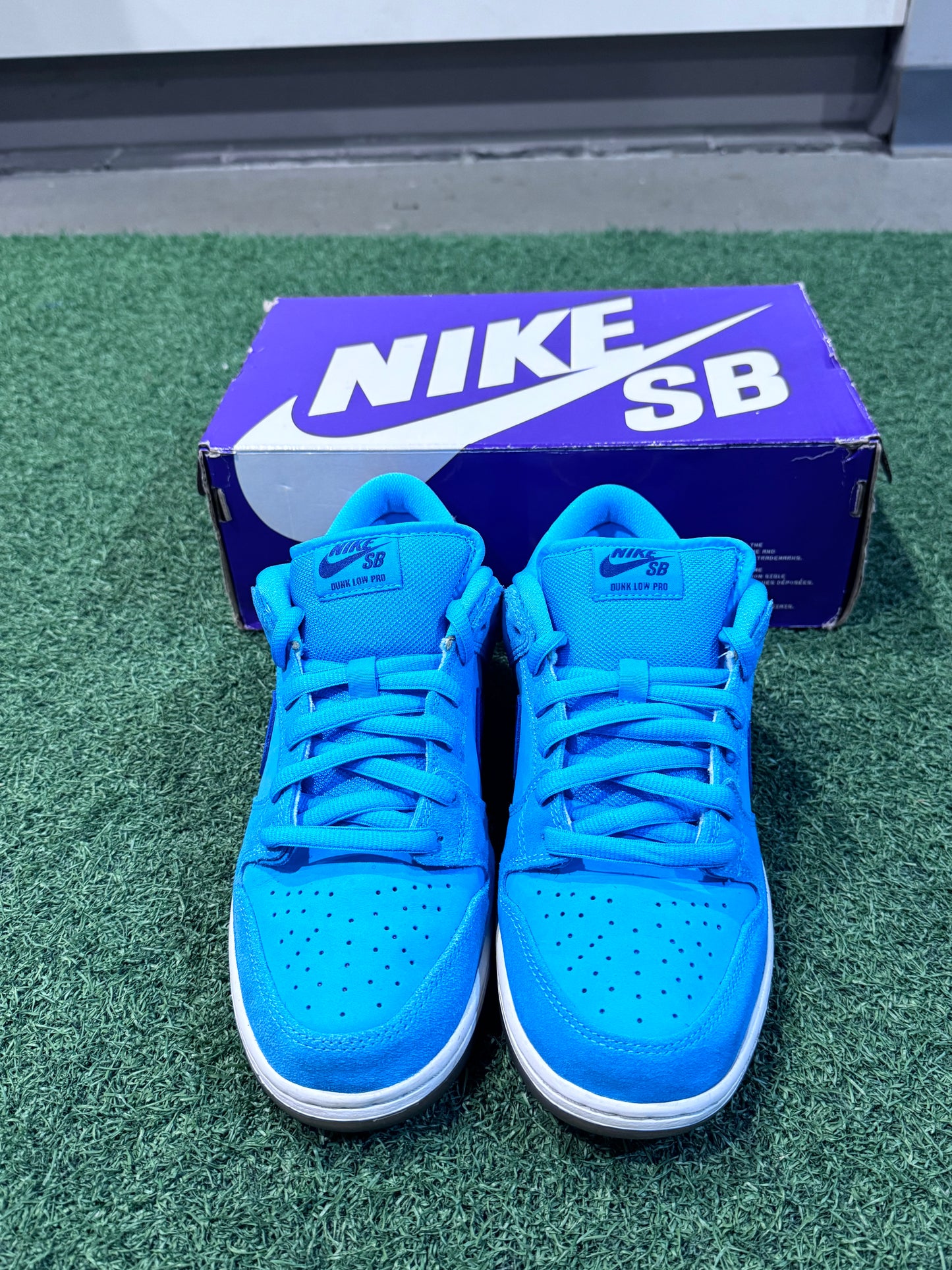 Dunk Low SB Blue Fury (9)
