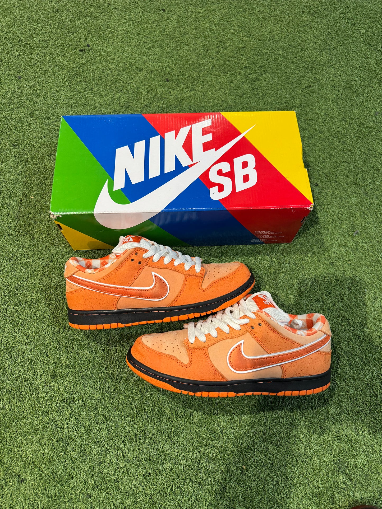 Dunk Low SB Orange Lobster (7.5)